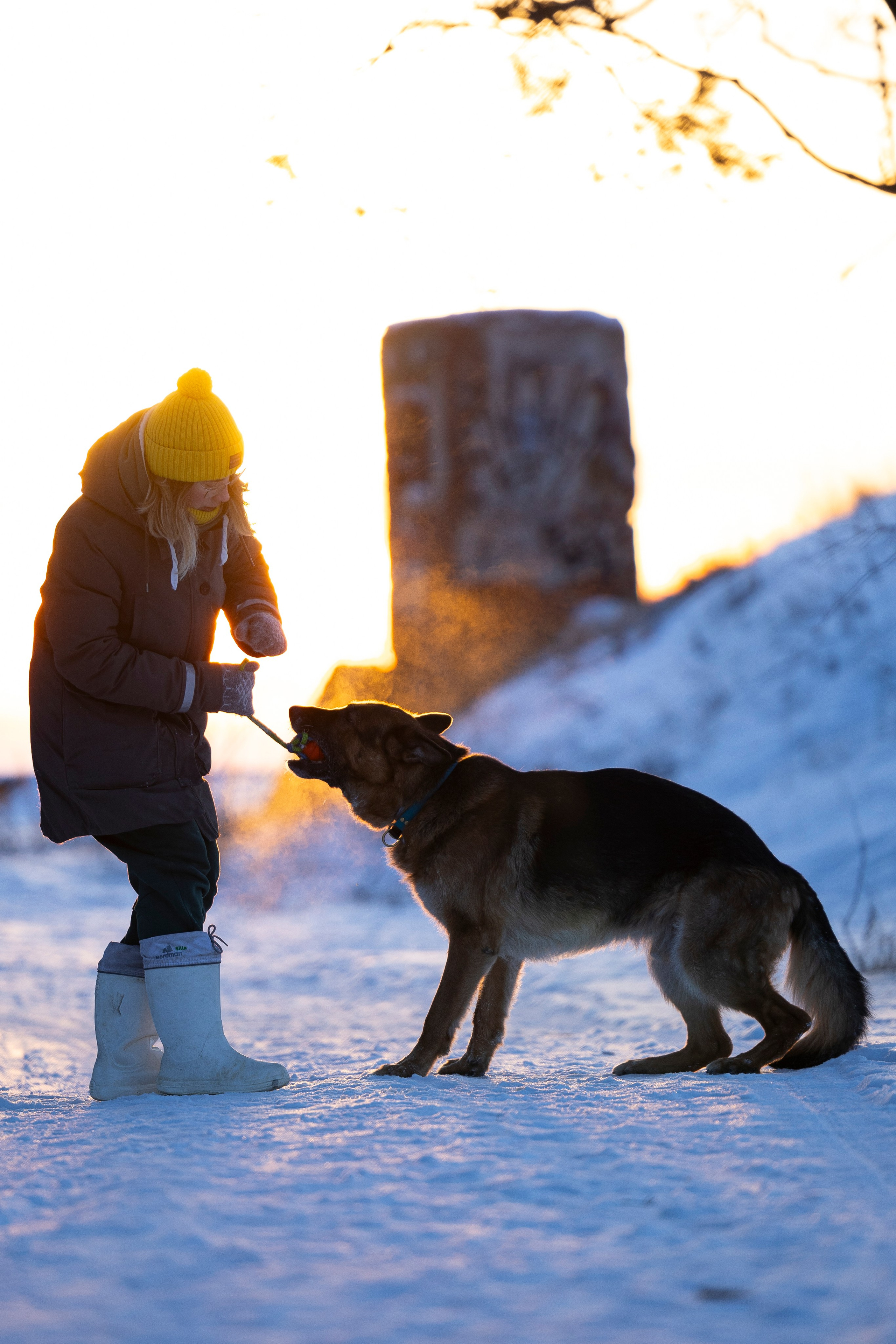 Рейн. Фотограф-анималист Анна Маринич