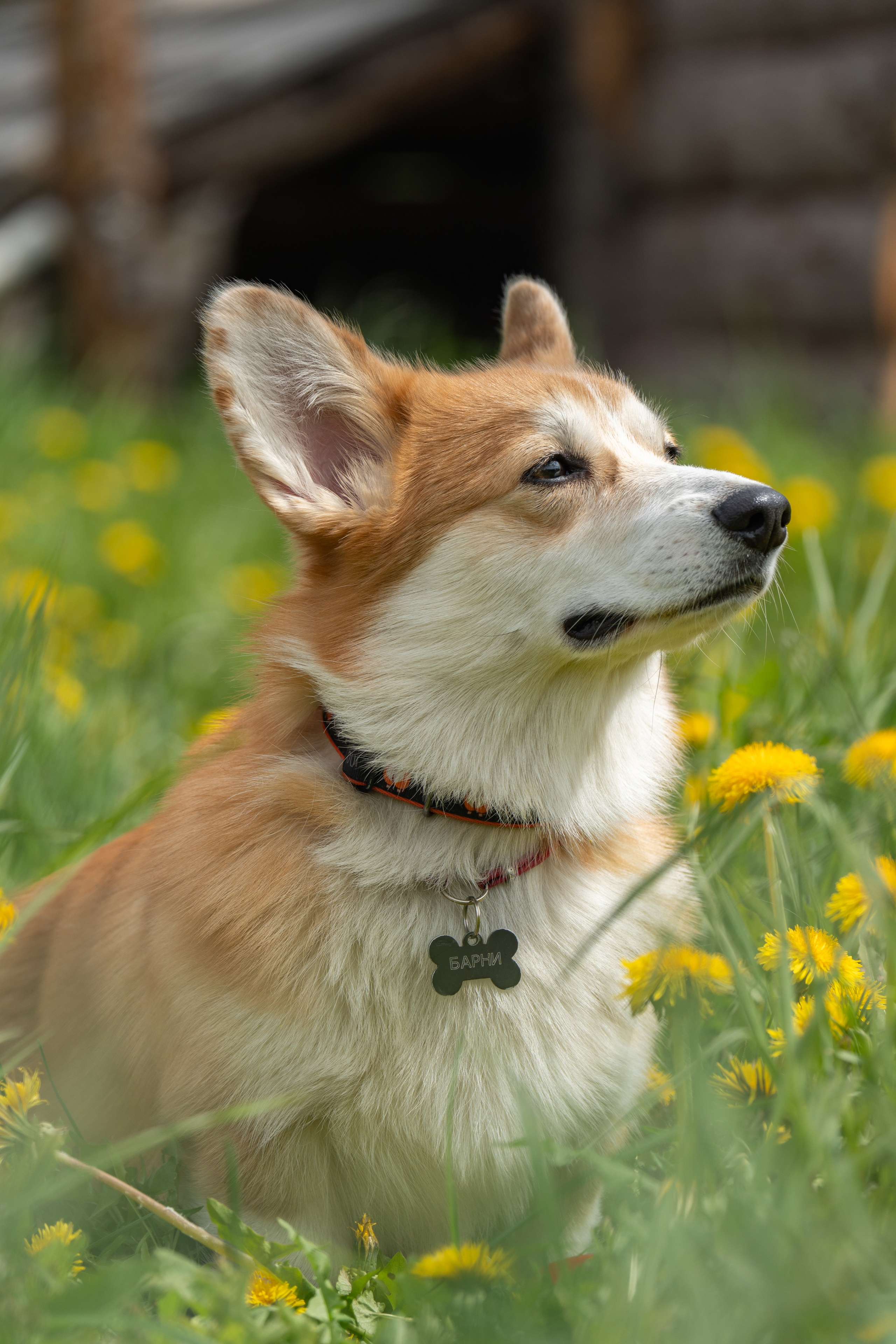 Арт-парк Никола-Ленивец. Gusarov Travel Photography