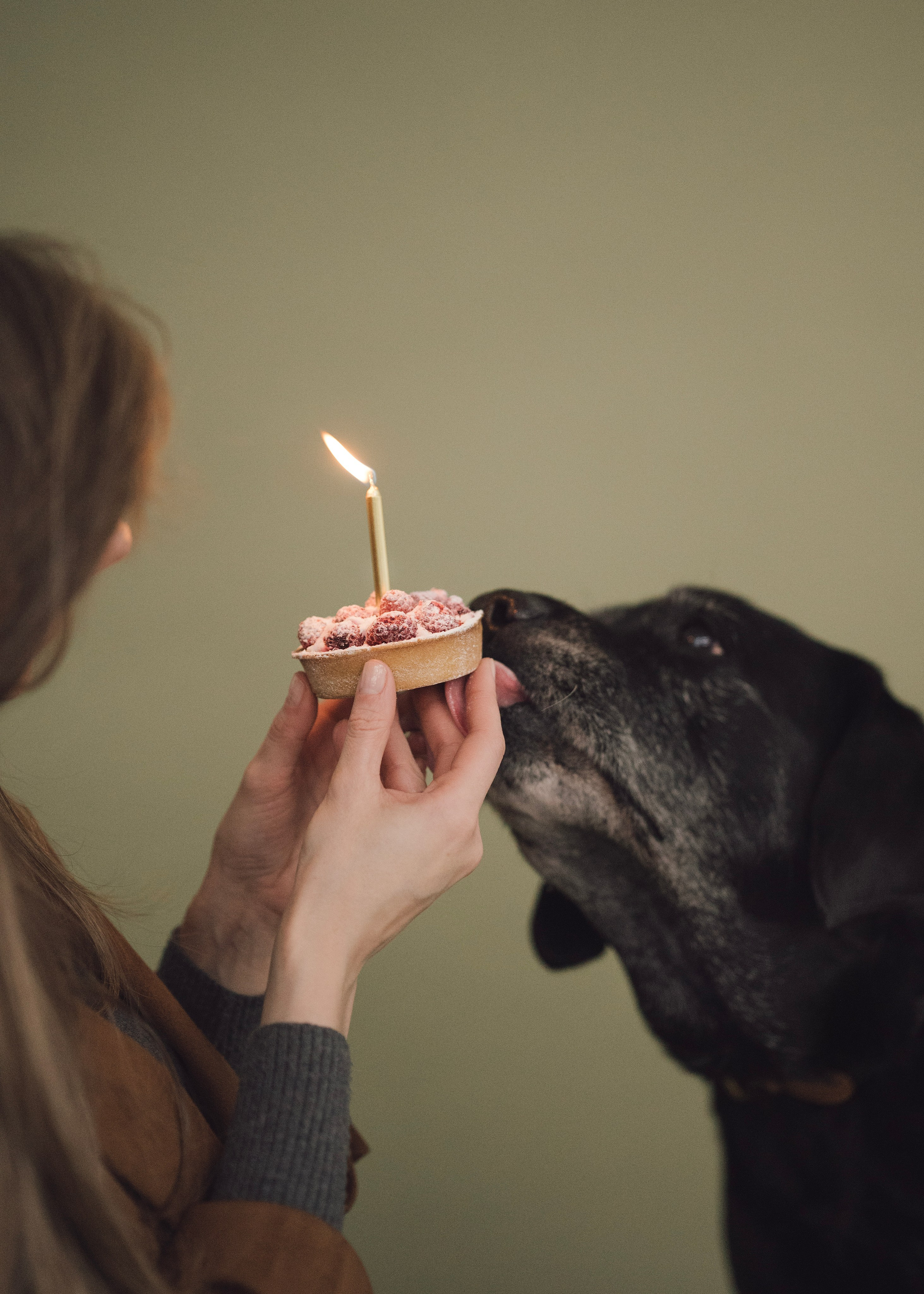 Бэста. Фотограф- анималист Александра Матвеева