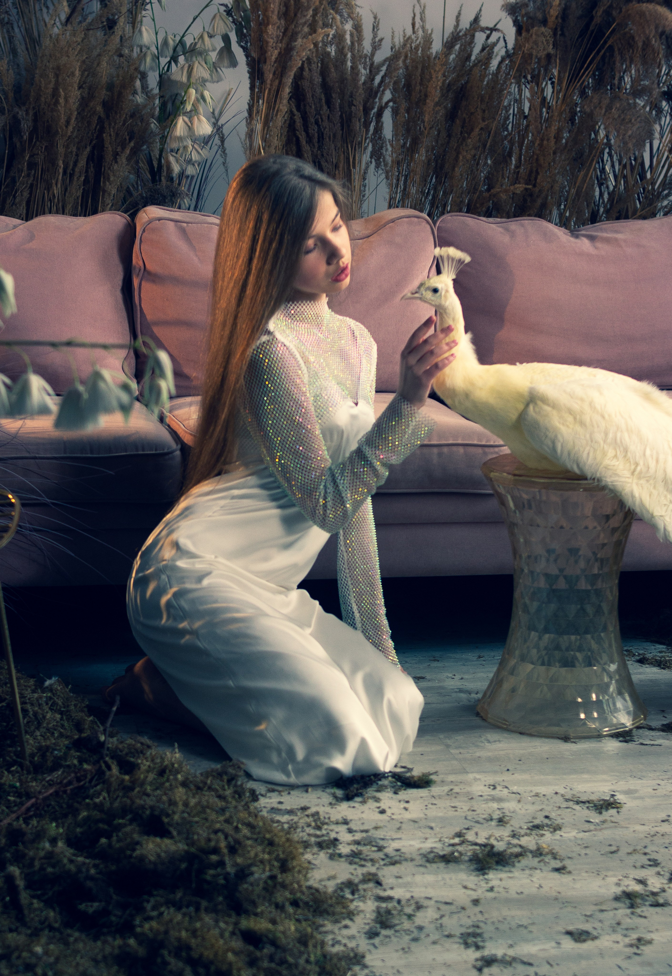 Альбомы стилизованных фотосессий и съёмки с животными. Семейный и свадебный фотограф в Москве и Домодедово Анна Авилочкина