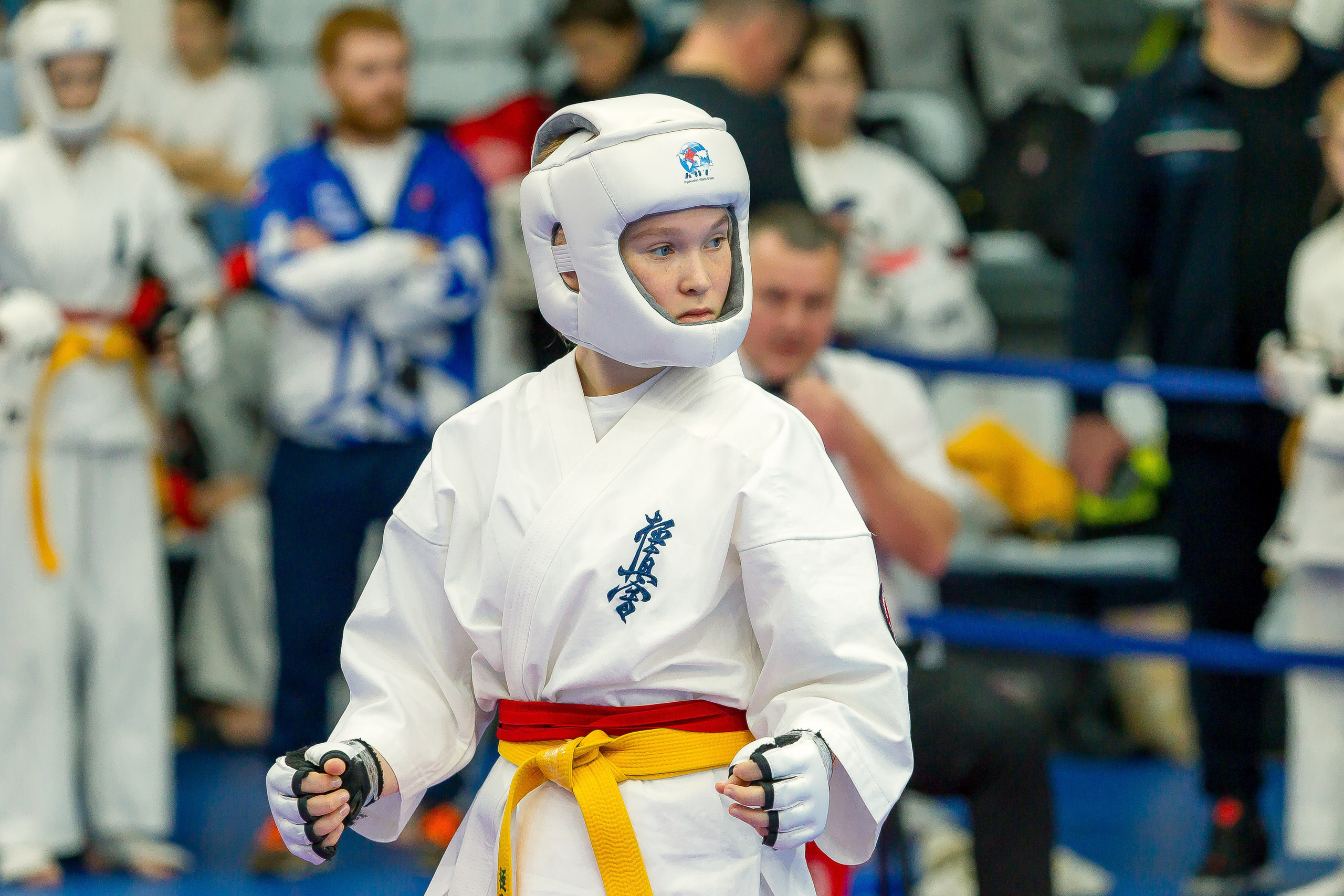 Соревнования по Киокушин памяти С. Увицкого. Репортажная съемка в Москве и области. Анималистика