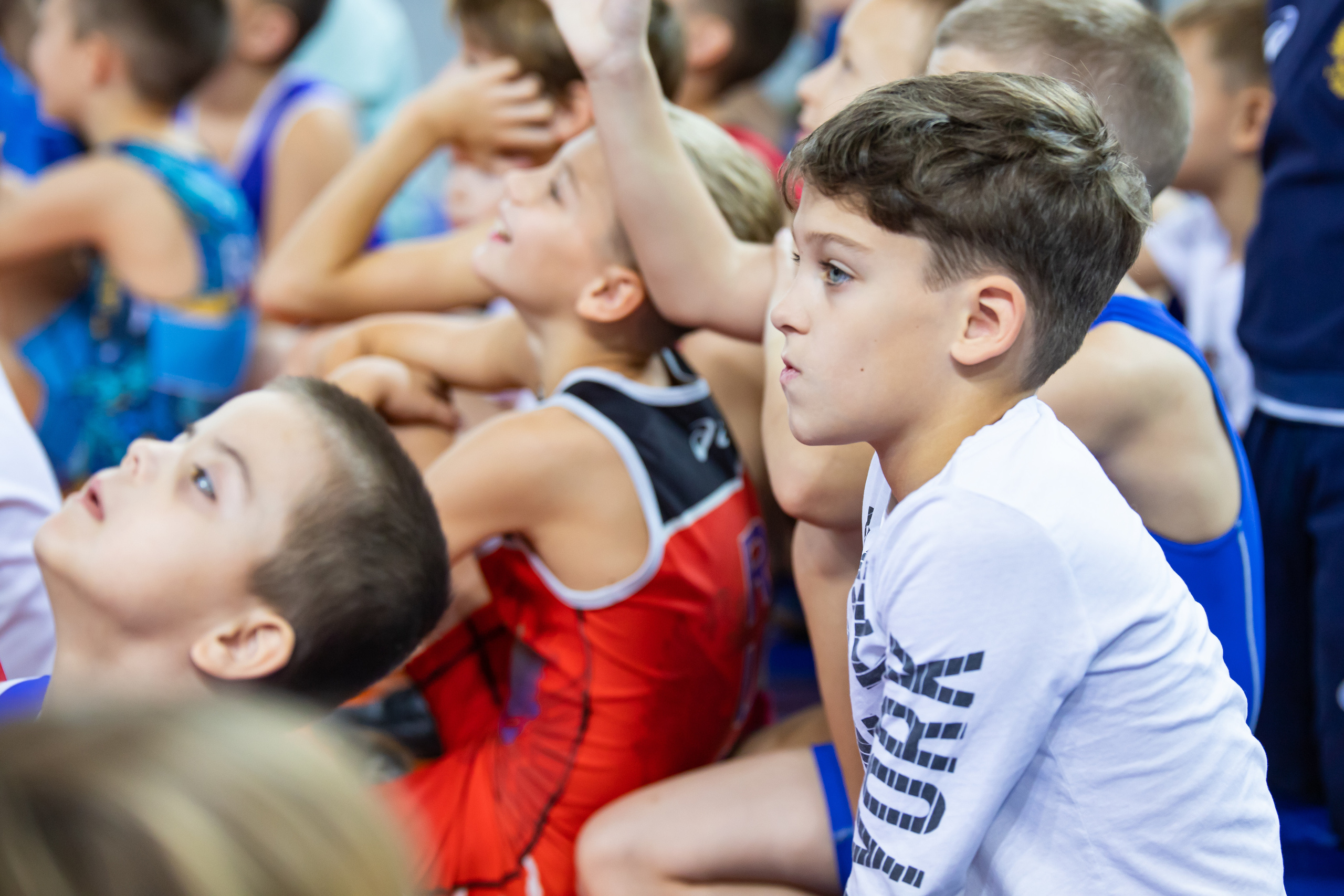 Мастер класс звёзд спортивной борьбы. Фотограф Александр Поздняков  Новосибирск