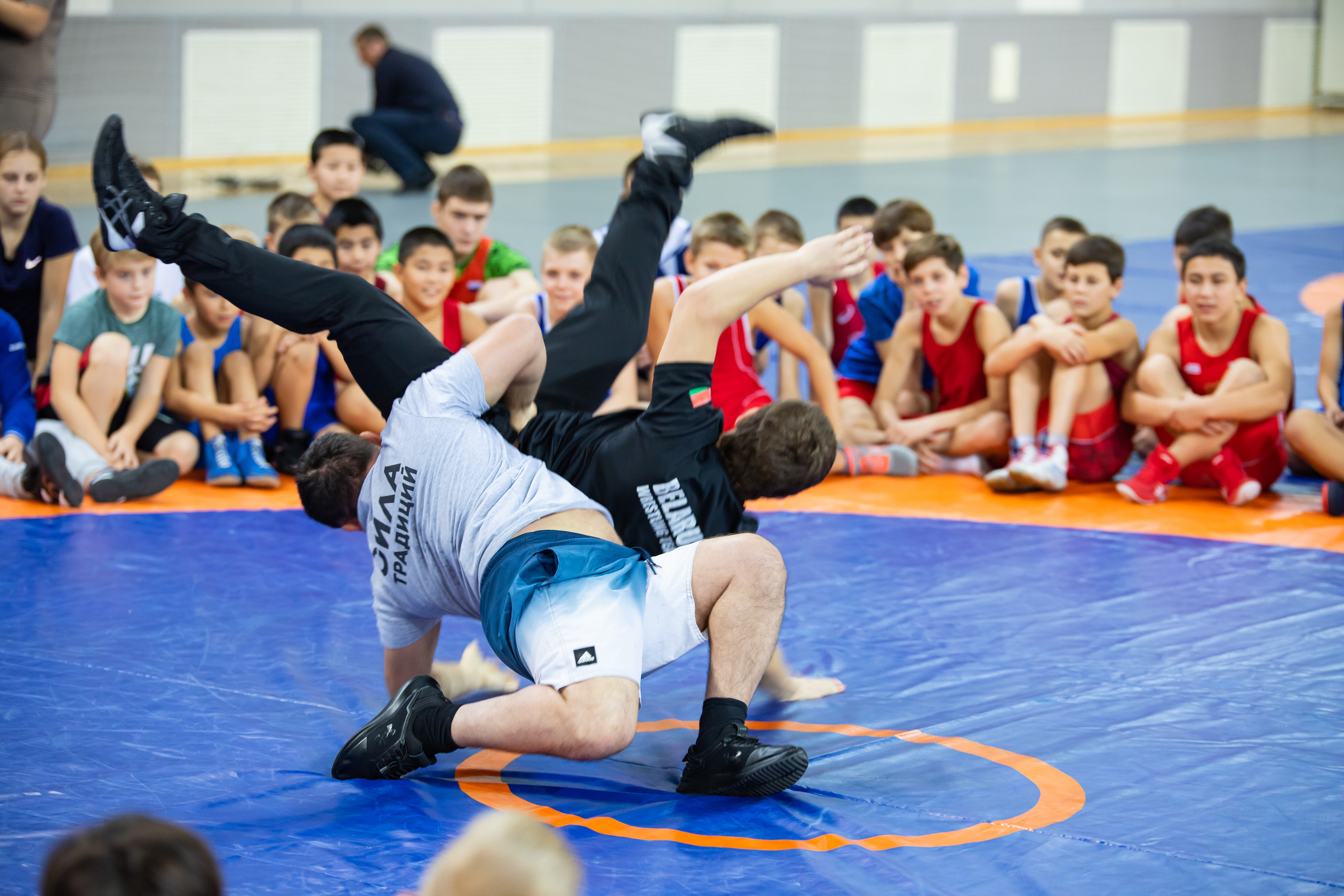 Мастер класс звёзд спортивной борьбы. Фотограф Александр Поздняков  Новосибирск