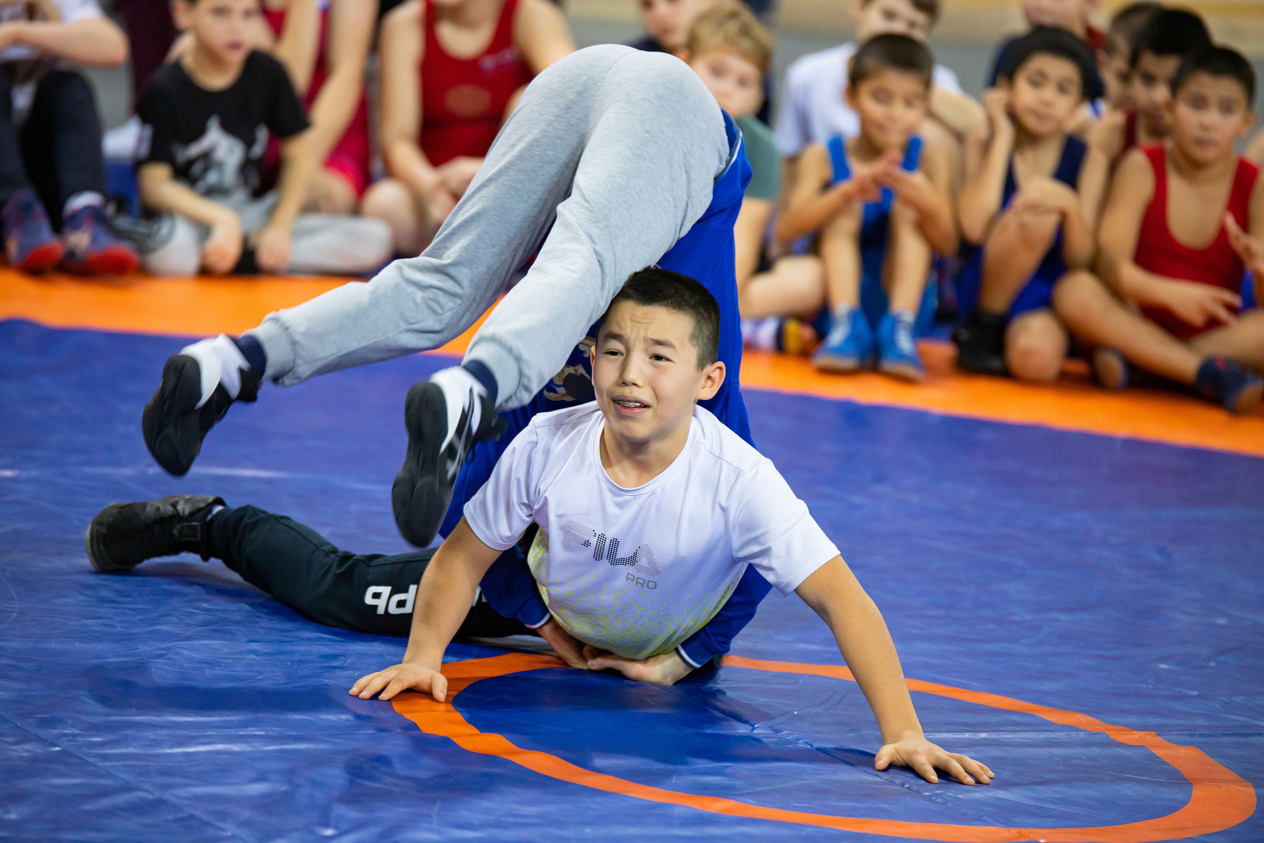 Мастер класс звёзд спортивной борьбы. Фотограф Александр Поздняков  Новосибирск