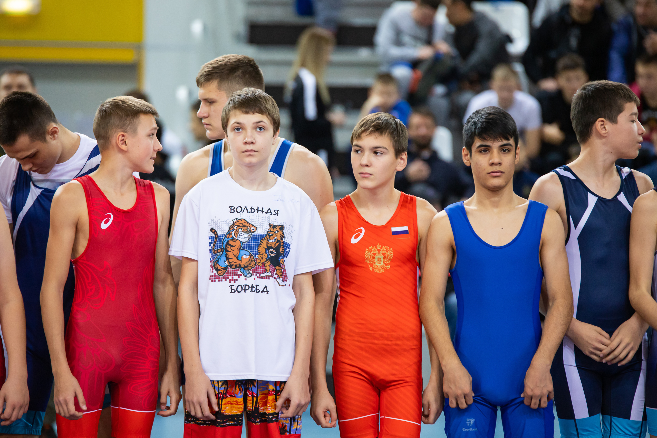 Мастер класс звёзд спортивной борьбы. Фотограф Александр Поздняков  Новосибирск