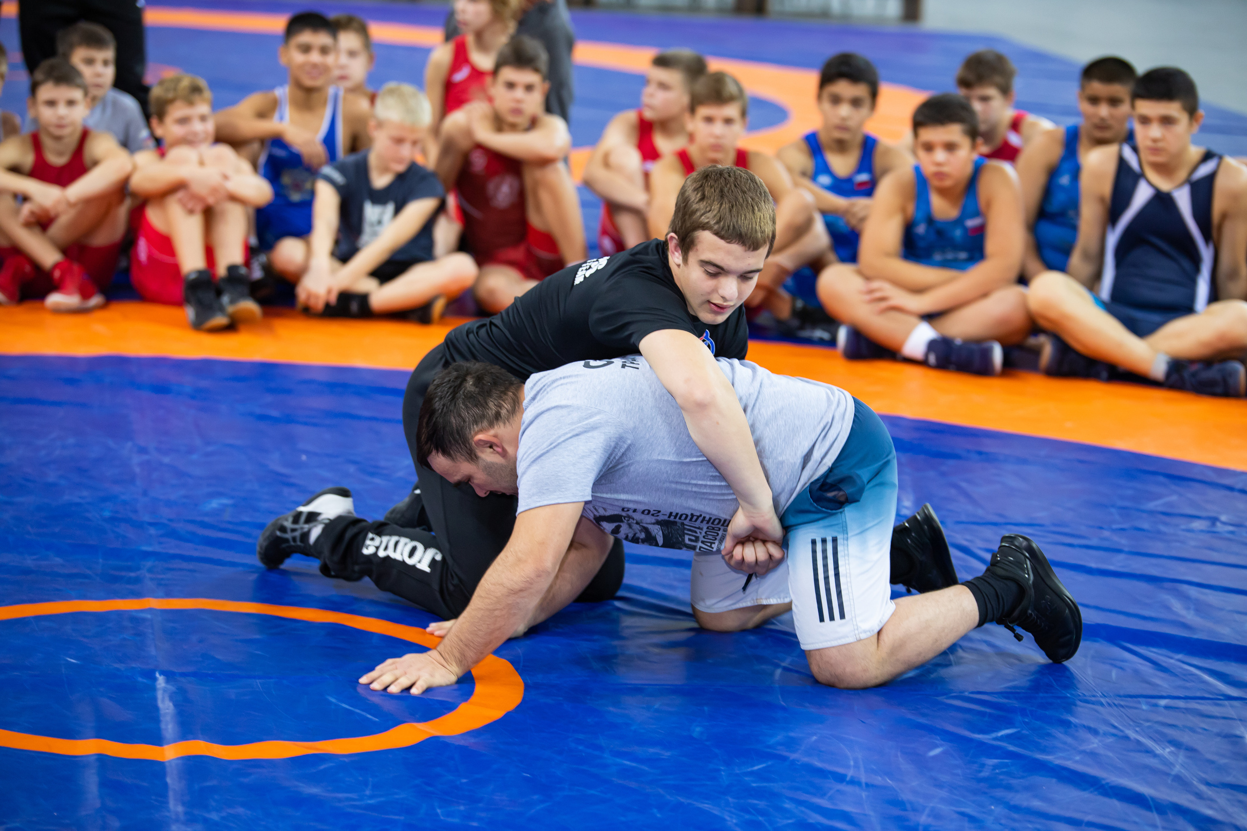 Мастер класс звёзд спортивной борьбы. Фотограф Александр Поздняков  Новосибирск