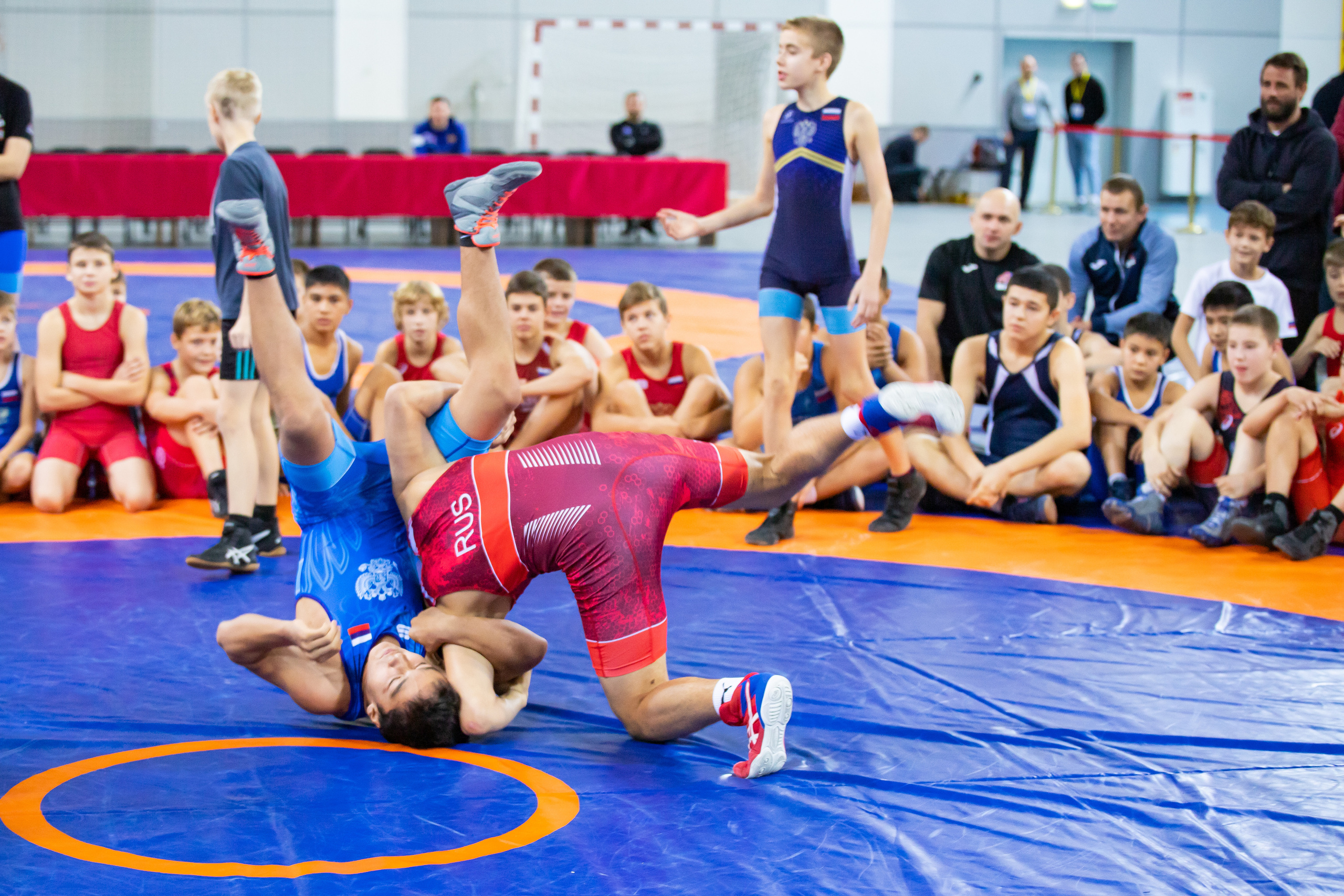 Мастер класс звёзд спортивной борьбы. Фотограф Александр Поздняков  Новосибирск