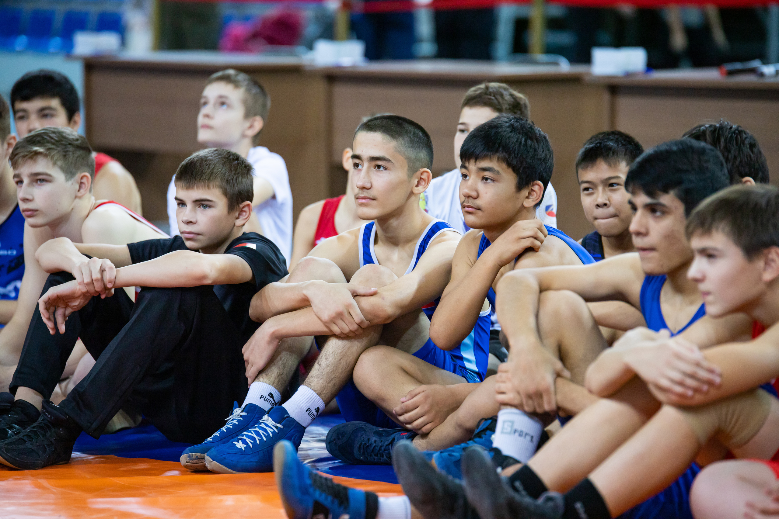Мастер класс звёзд спортивной борьбы. Фотограф Александр Поздняков  Новосибирск