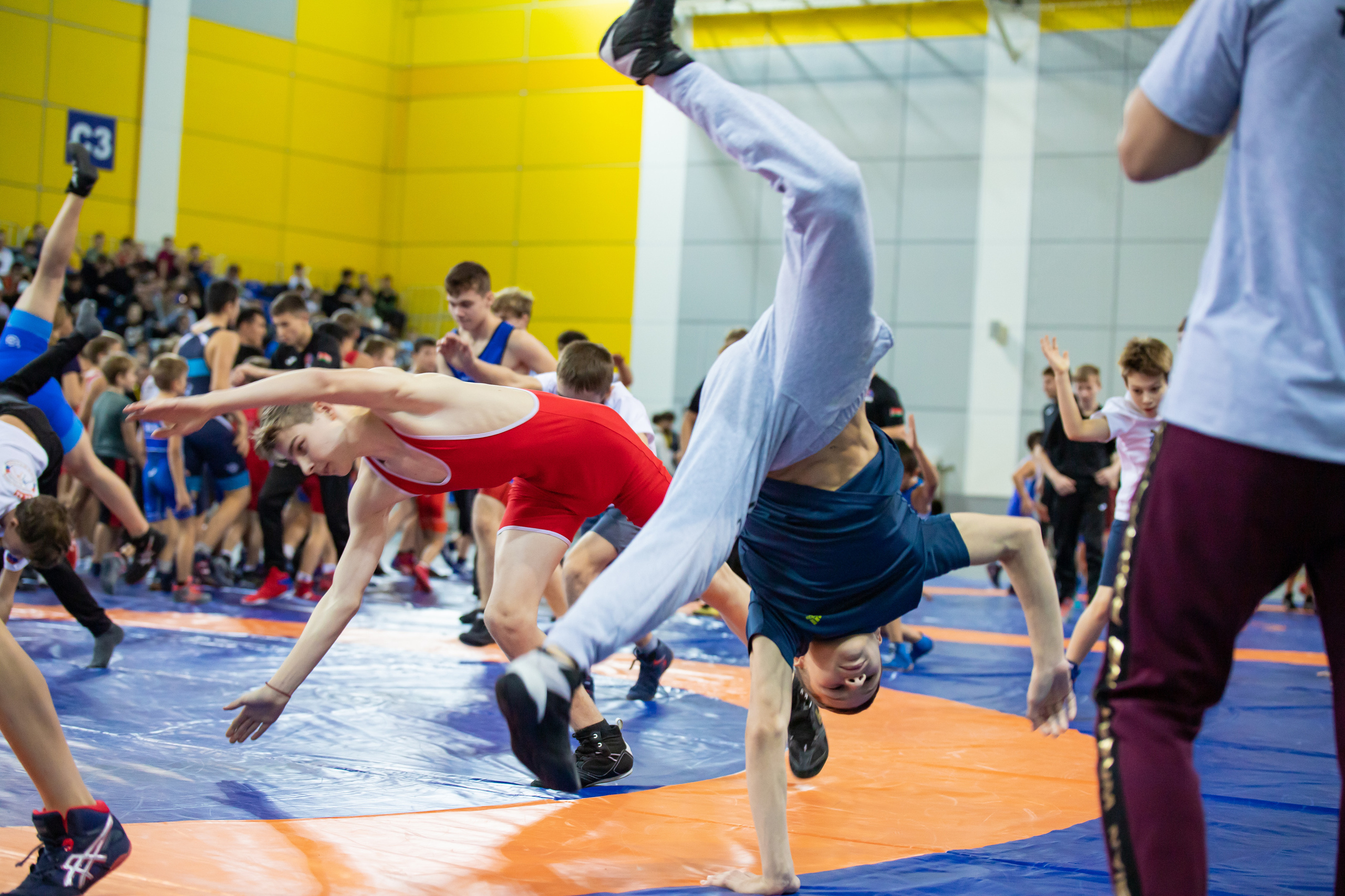 Мастер класс звёзд спортивной борьбы. Фотограф Александр Поздняков  Новосибирск