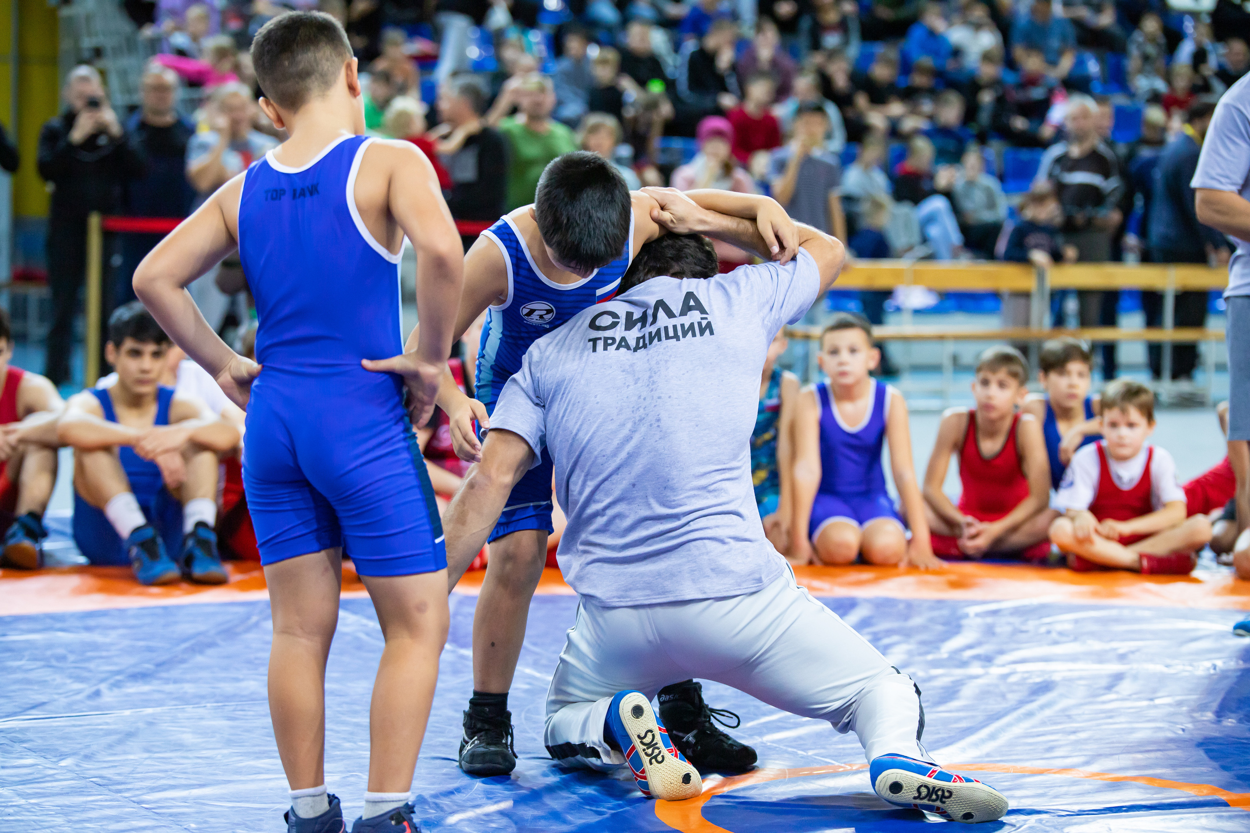 Мастер класс звёзд спортивной борьбы. Фотограф Александр Поздняков  Новосибирск
