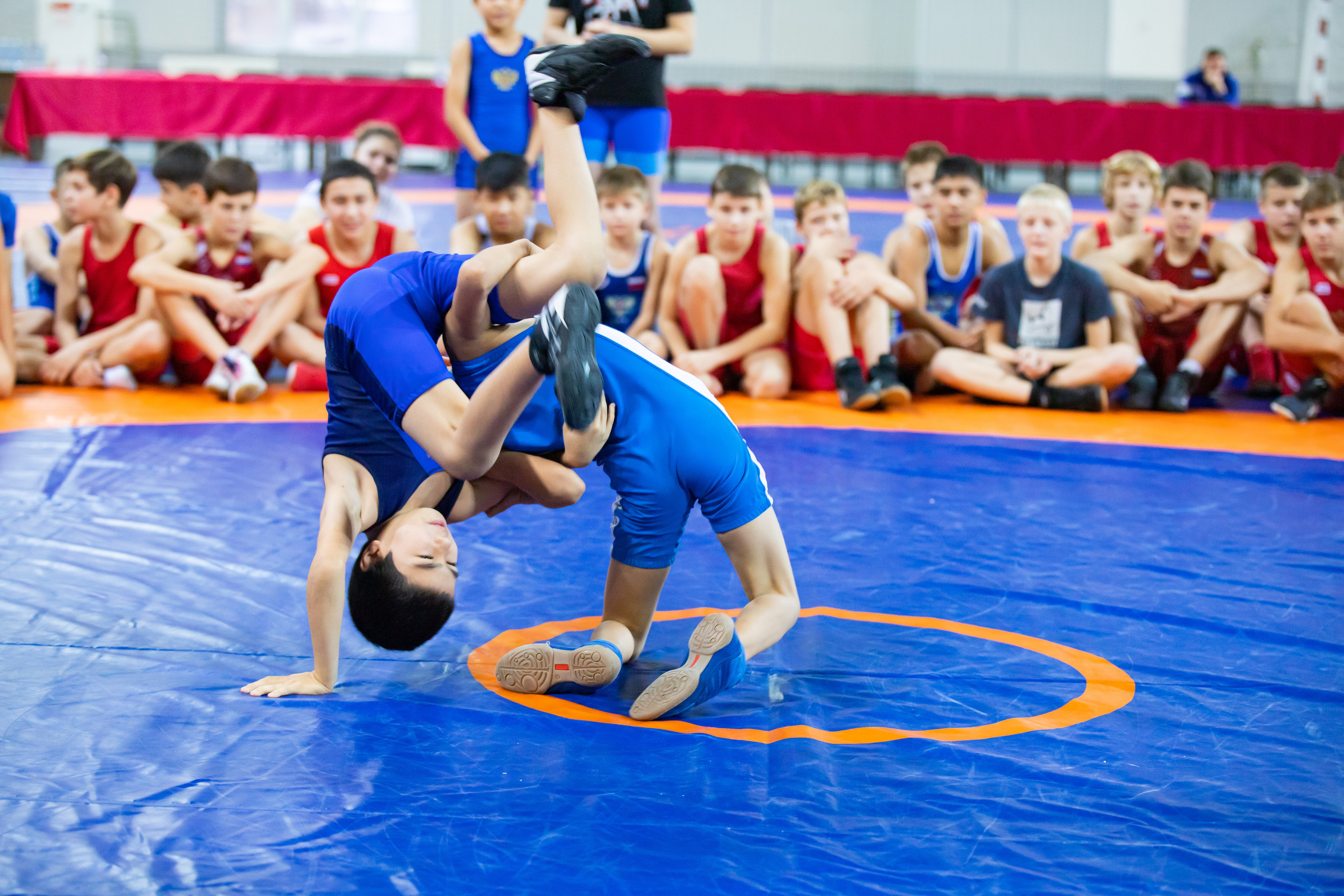 Мастер класс звёзд спортивной борьбы. Фотограф Александр Поздняков  Новосибирск