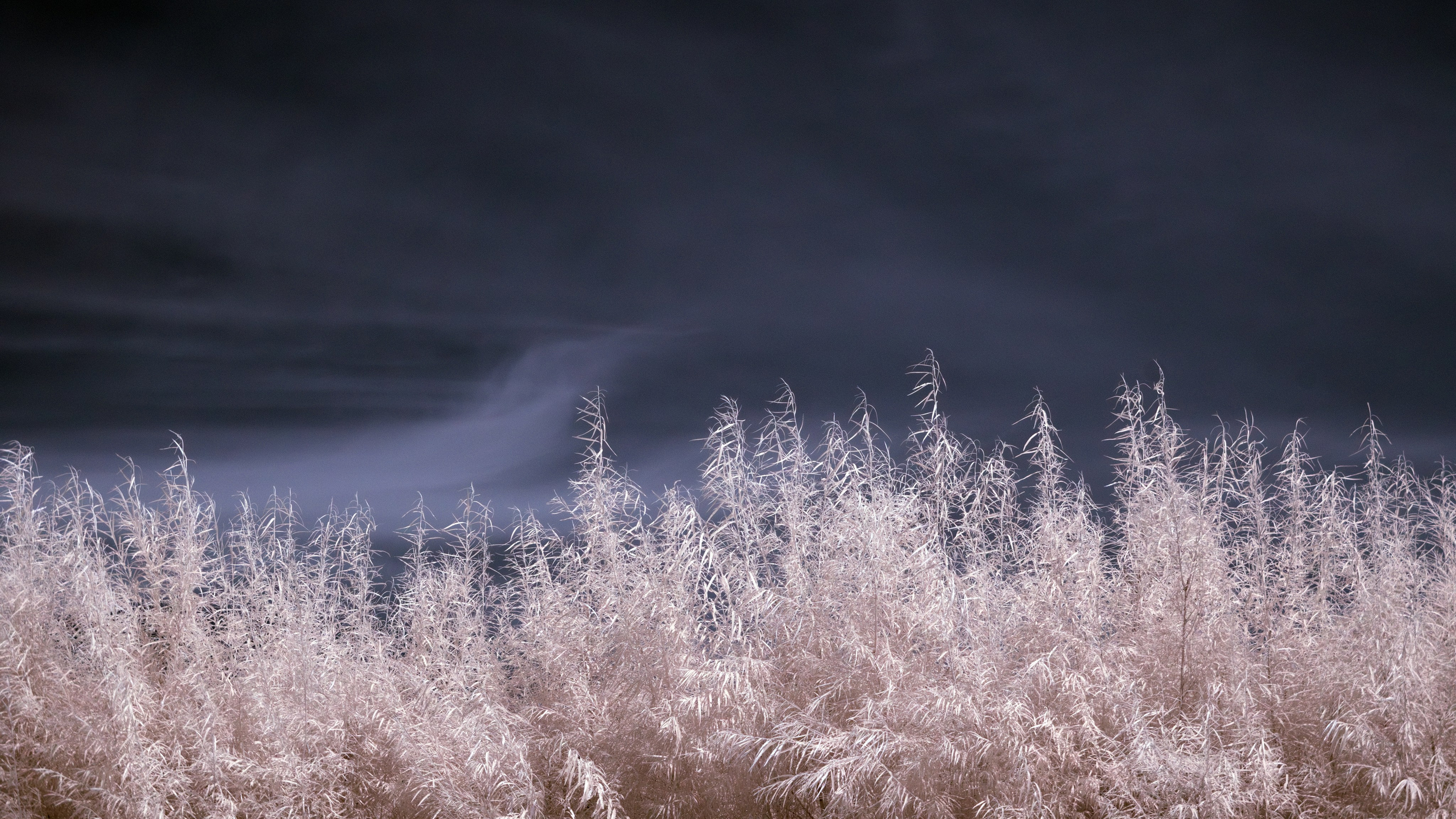 Infrared. AThumbnails