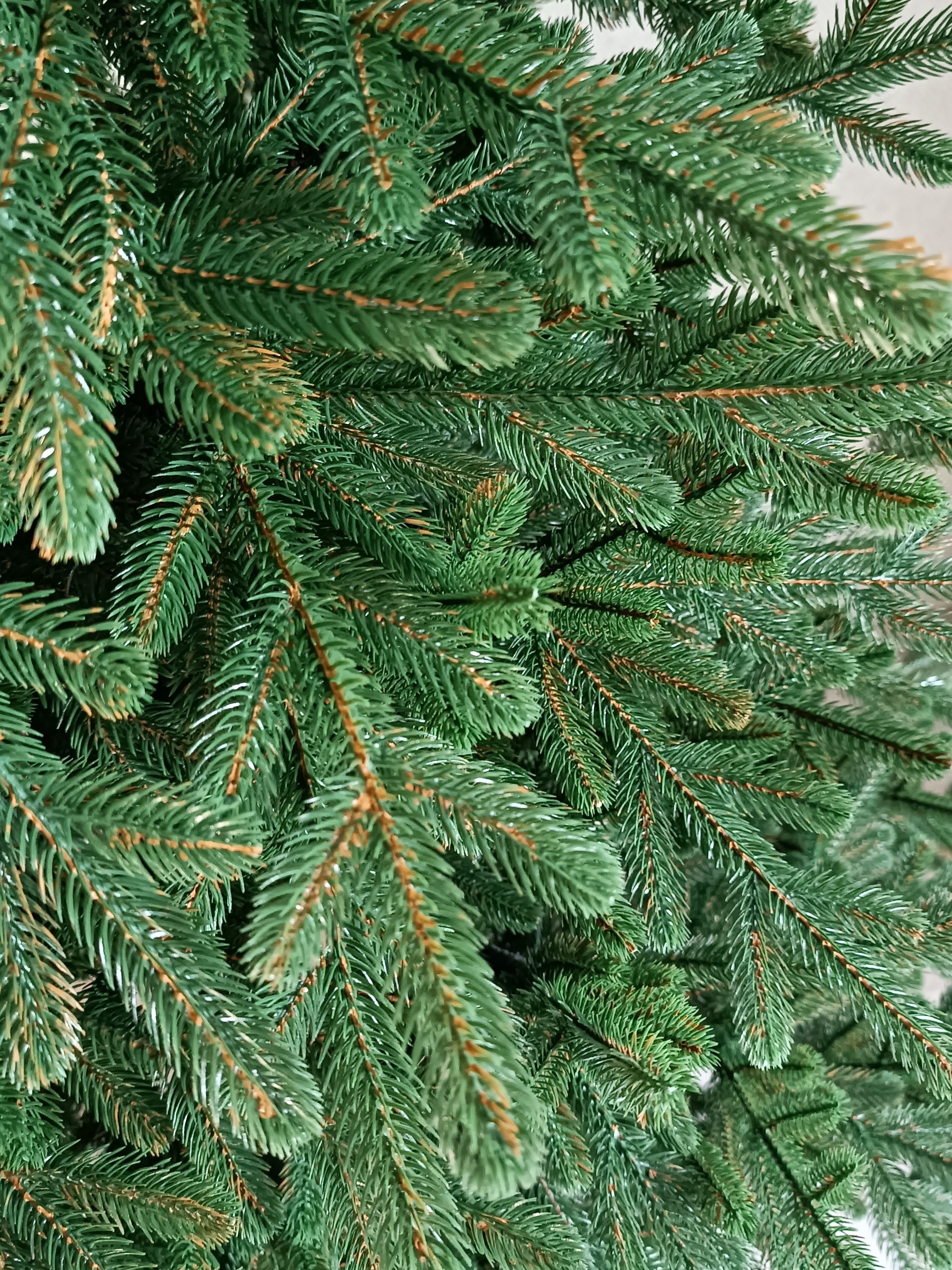 ВЕРСАЛЬ. Elki_grodno