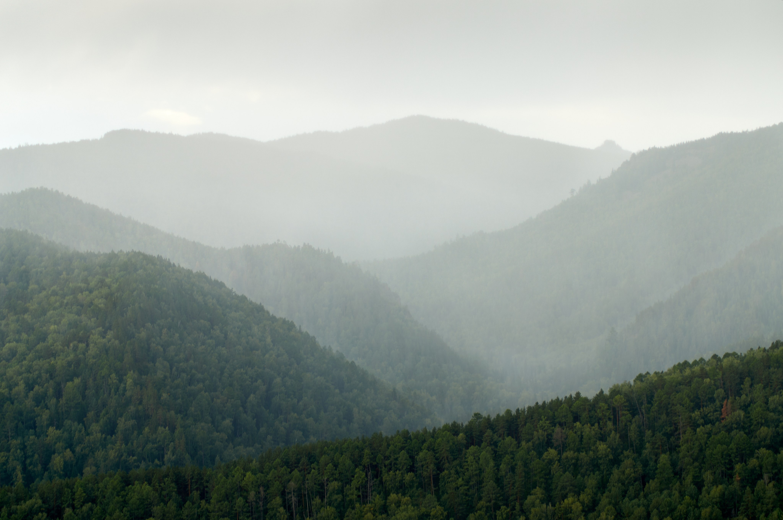 Красноярск. Фотограф Шибков Константин
