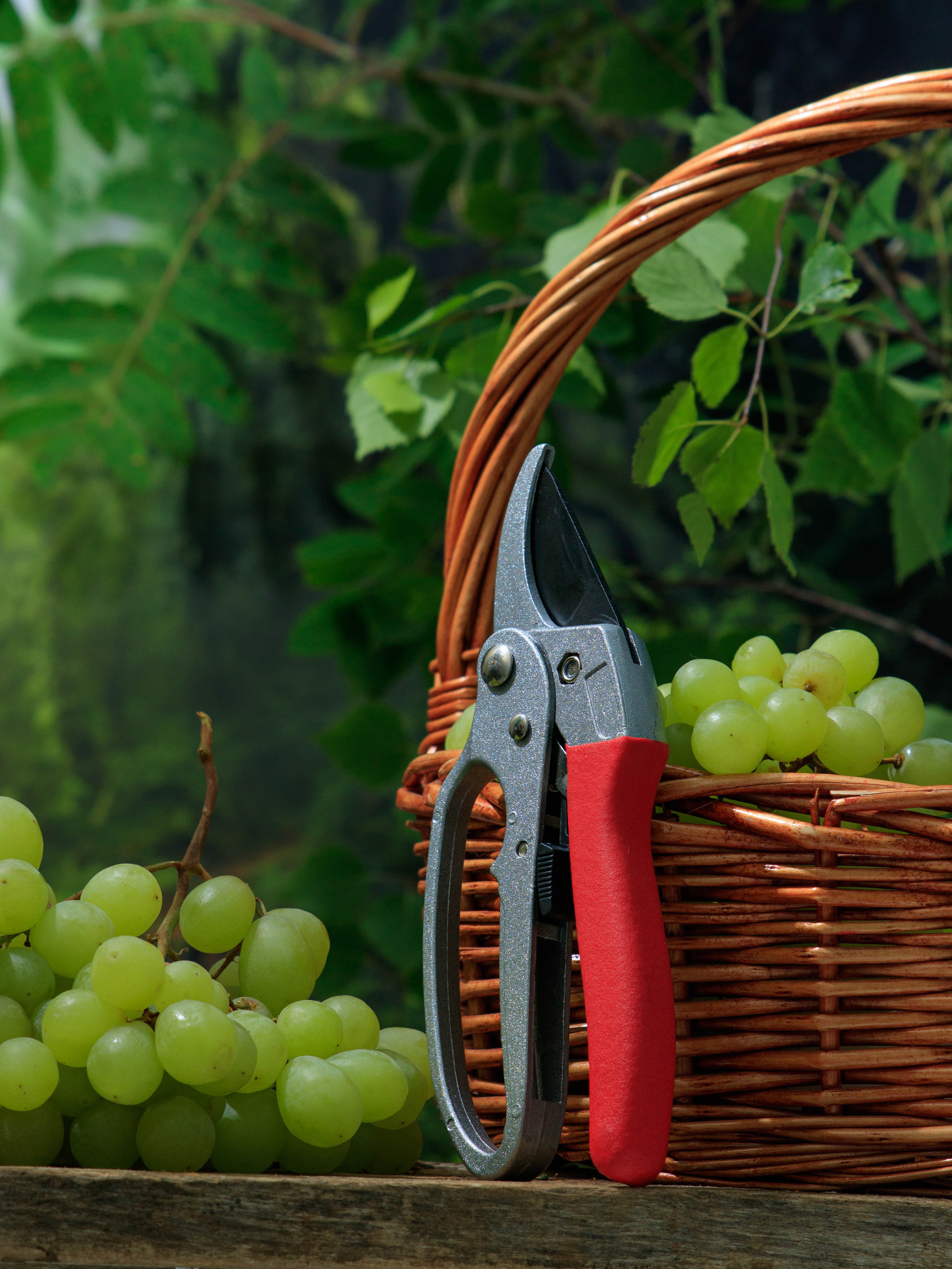 Предметное фото гаджетов, товаров для дома для сайтов и маркетплейсов. Предметный фотограф Елена Гребнева, Москва, Раменское