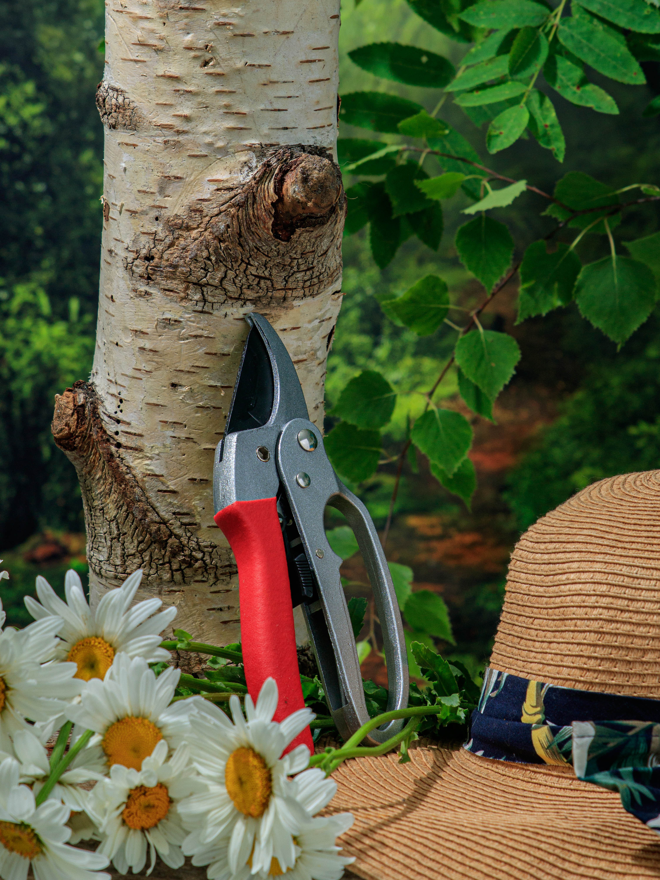 Фото для каталога и карточки товаров в интерьере. Предметный фотограф Елена Гребнева, Москва, Раменское