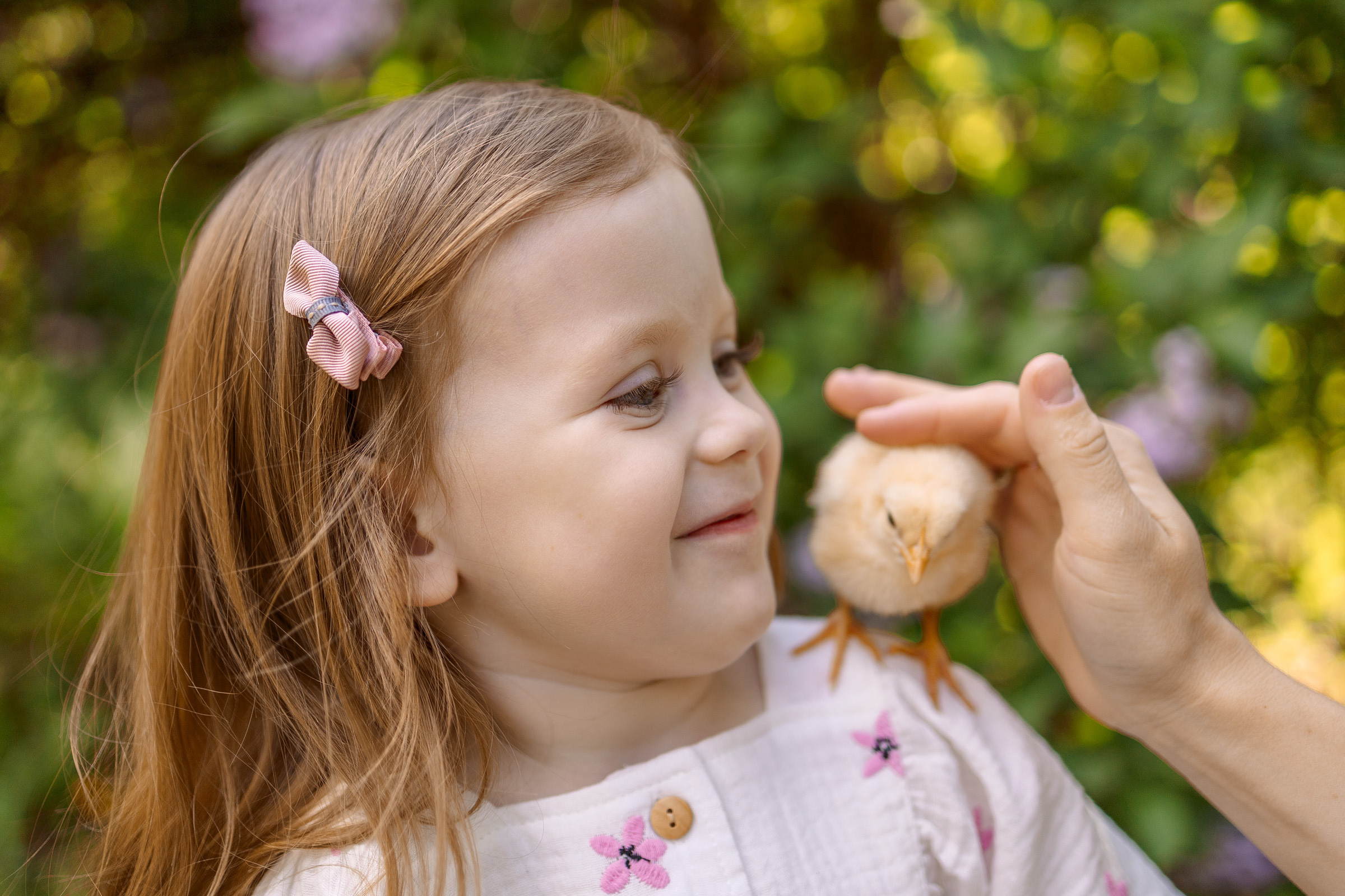 Фотосессия с цыплятами в Екатерининском парке. Семейный Фотограф в Москве Евгения Симоненко