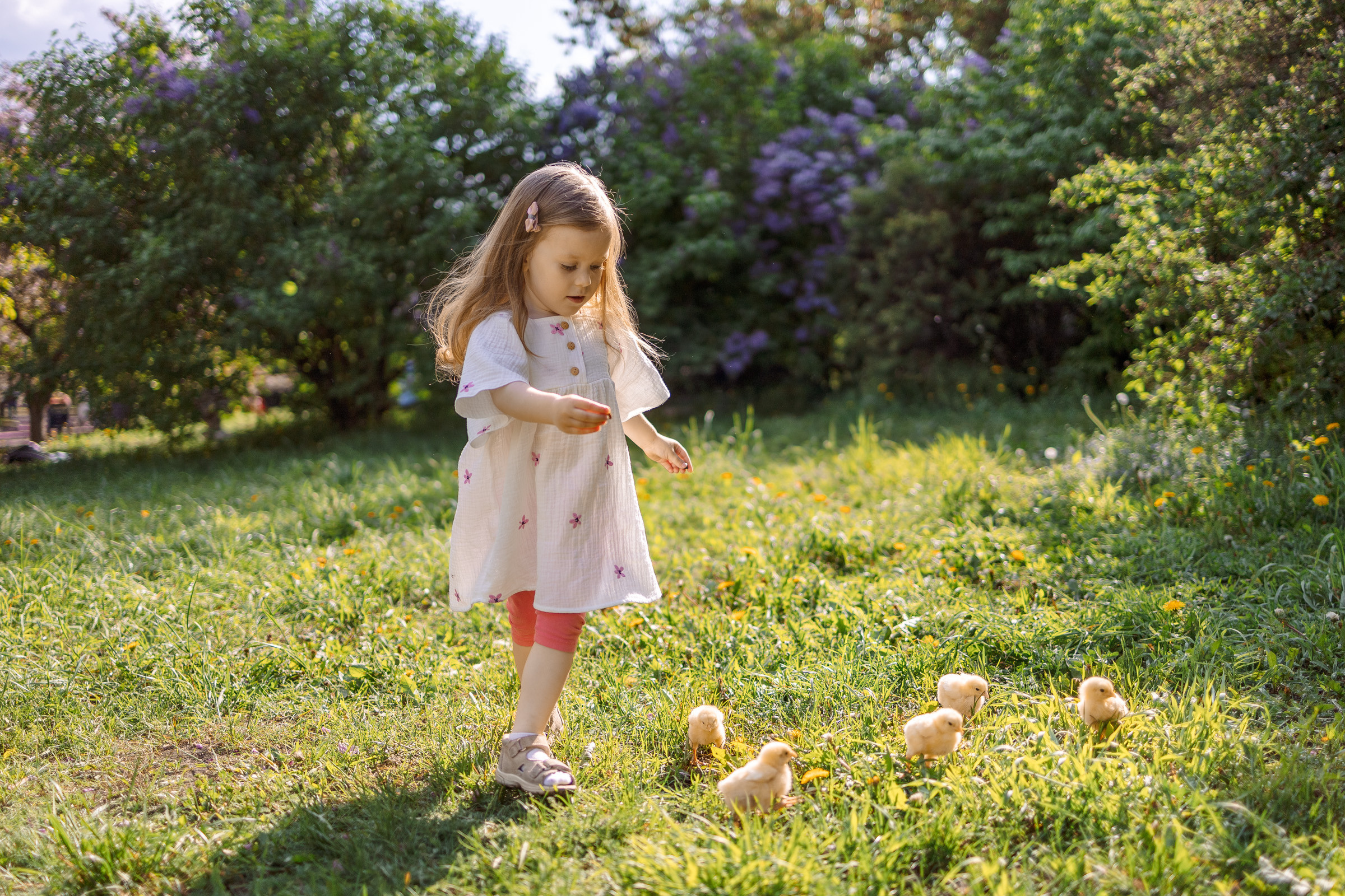 Фотосессия с цыплятами в Екатерининском парке. Семейный Фотограф в Москве Евгения Симоненко