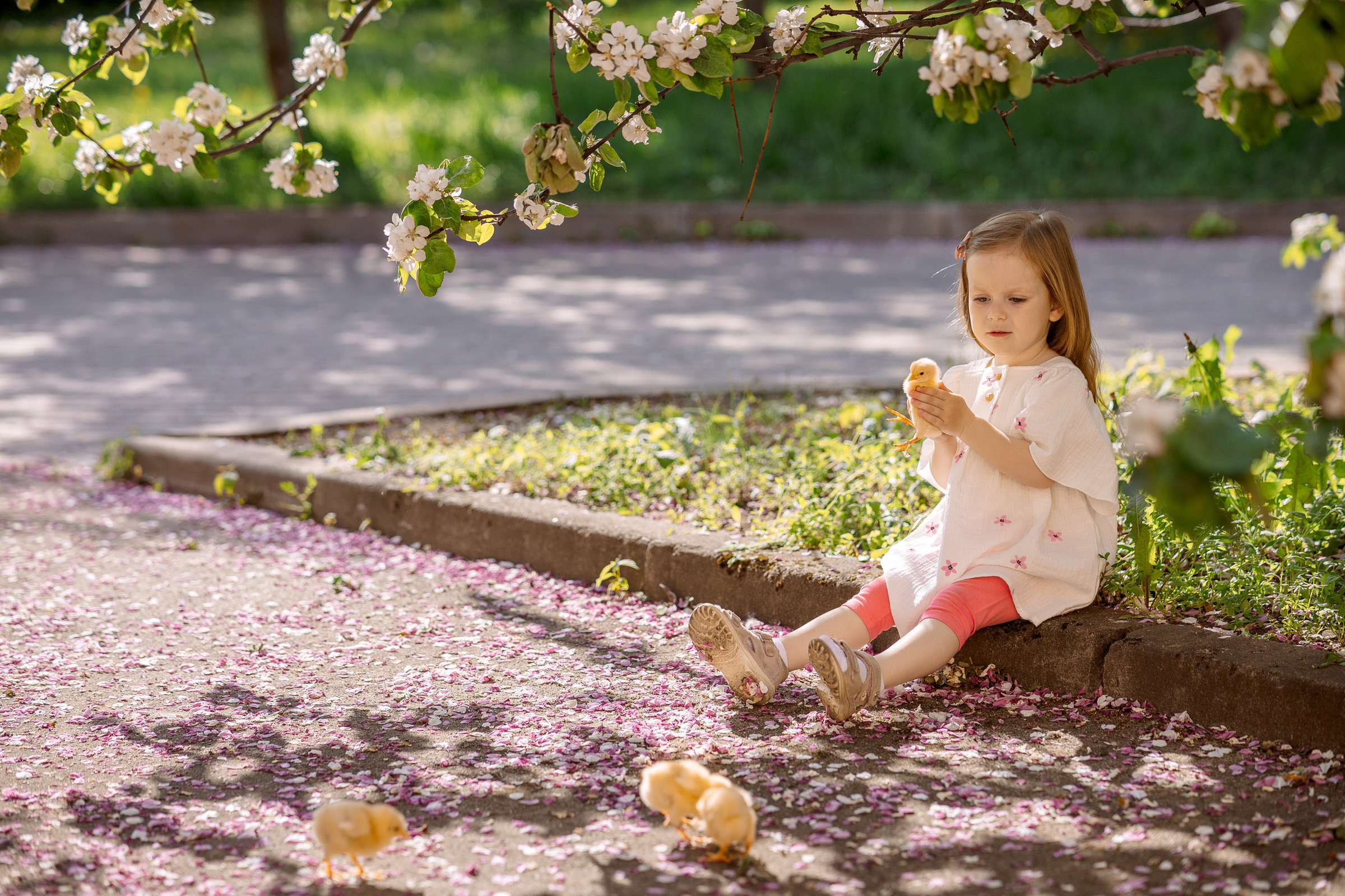 Фотосессия с цыплятами в Екатерининском парке. Семейный Фотограф в Москве Евгения Симоненко