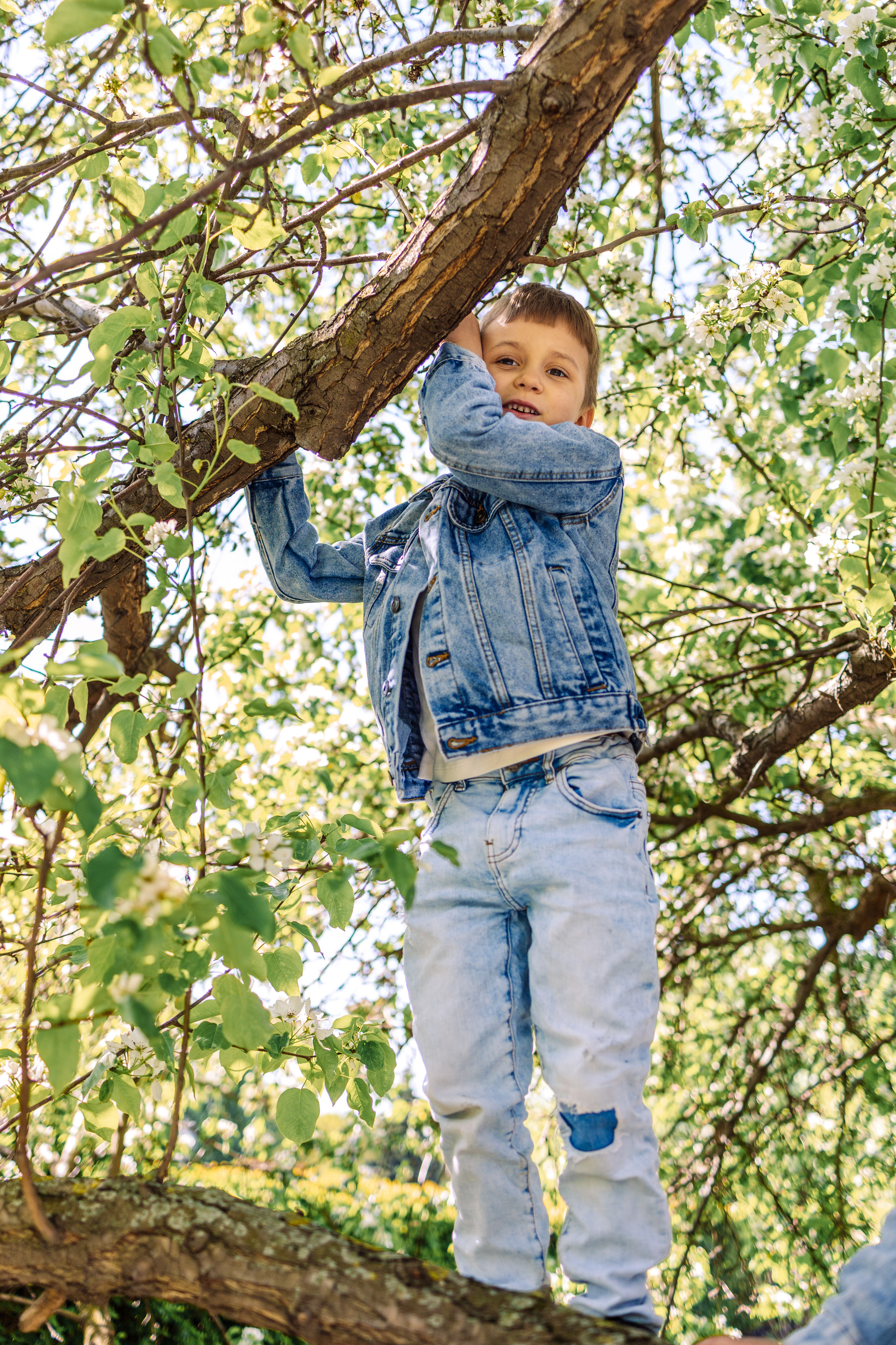 Семейная прогулка в парке Музеон