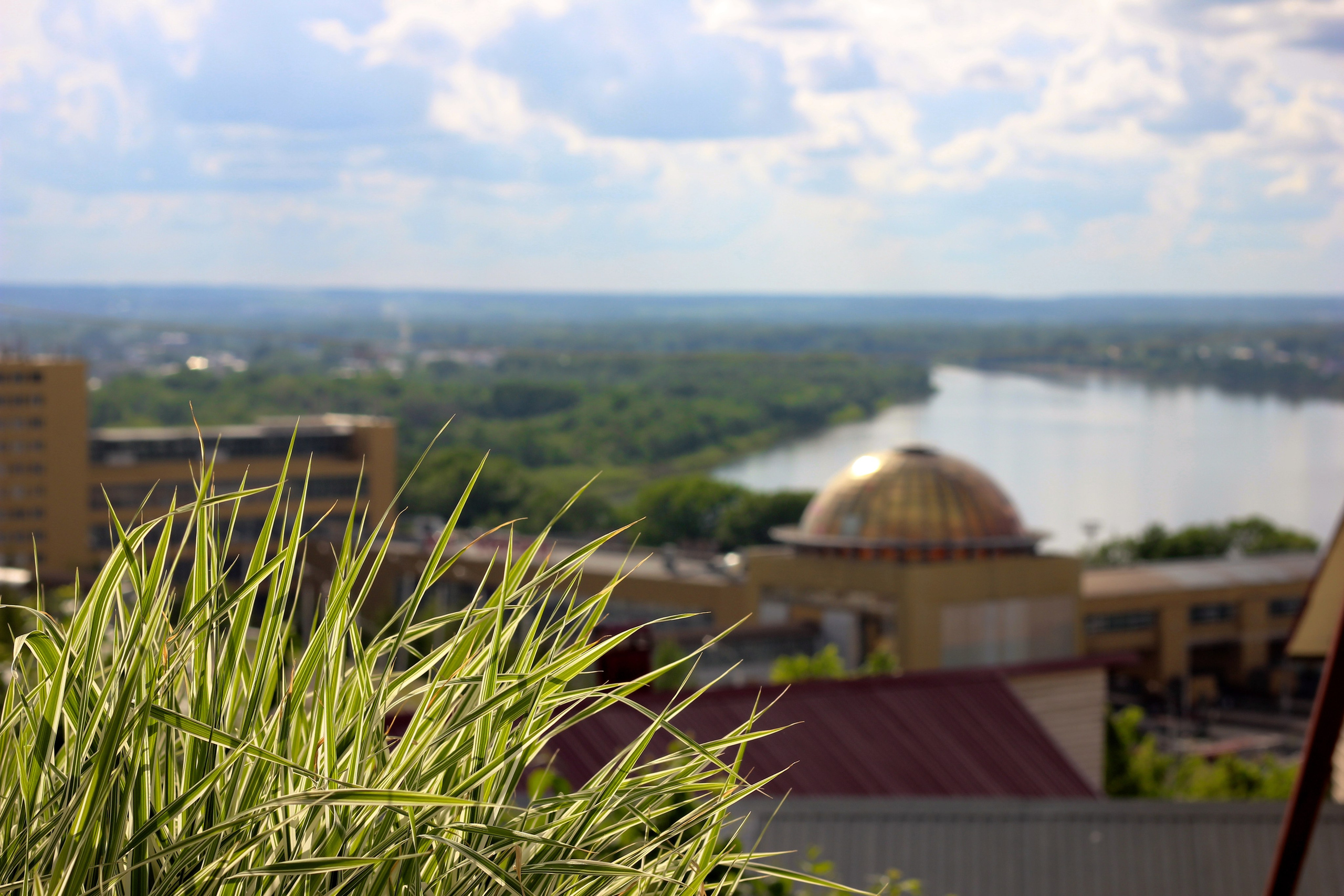 Пейзаж. Pupov.png