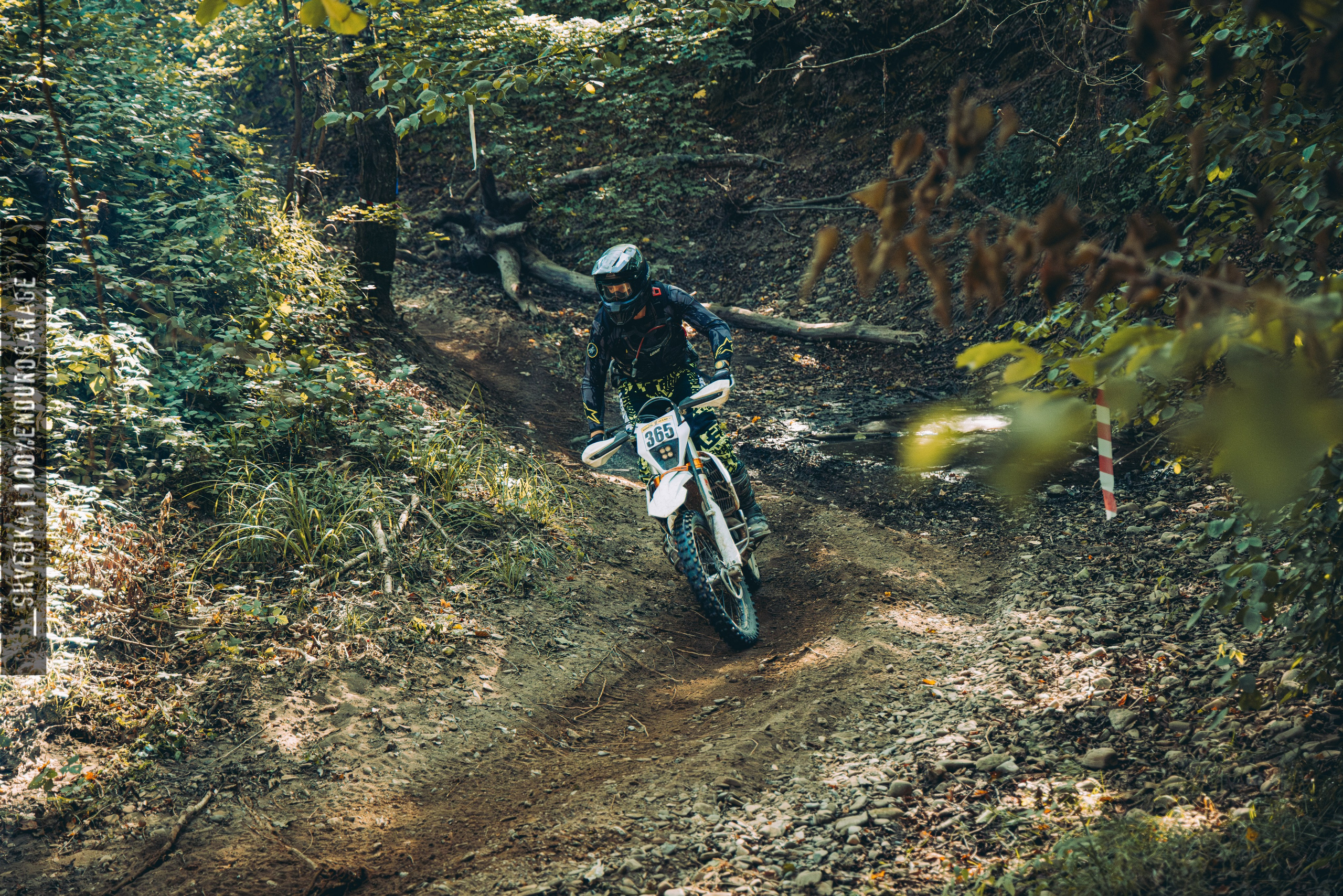 2 лесной день. Ваш экстрим фотограф Кудрева Яна