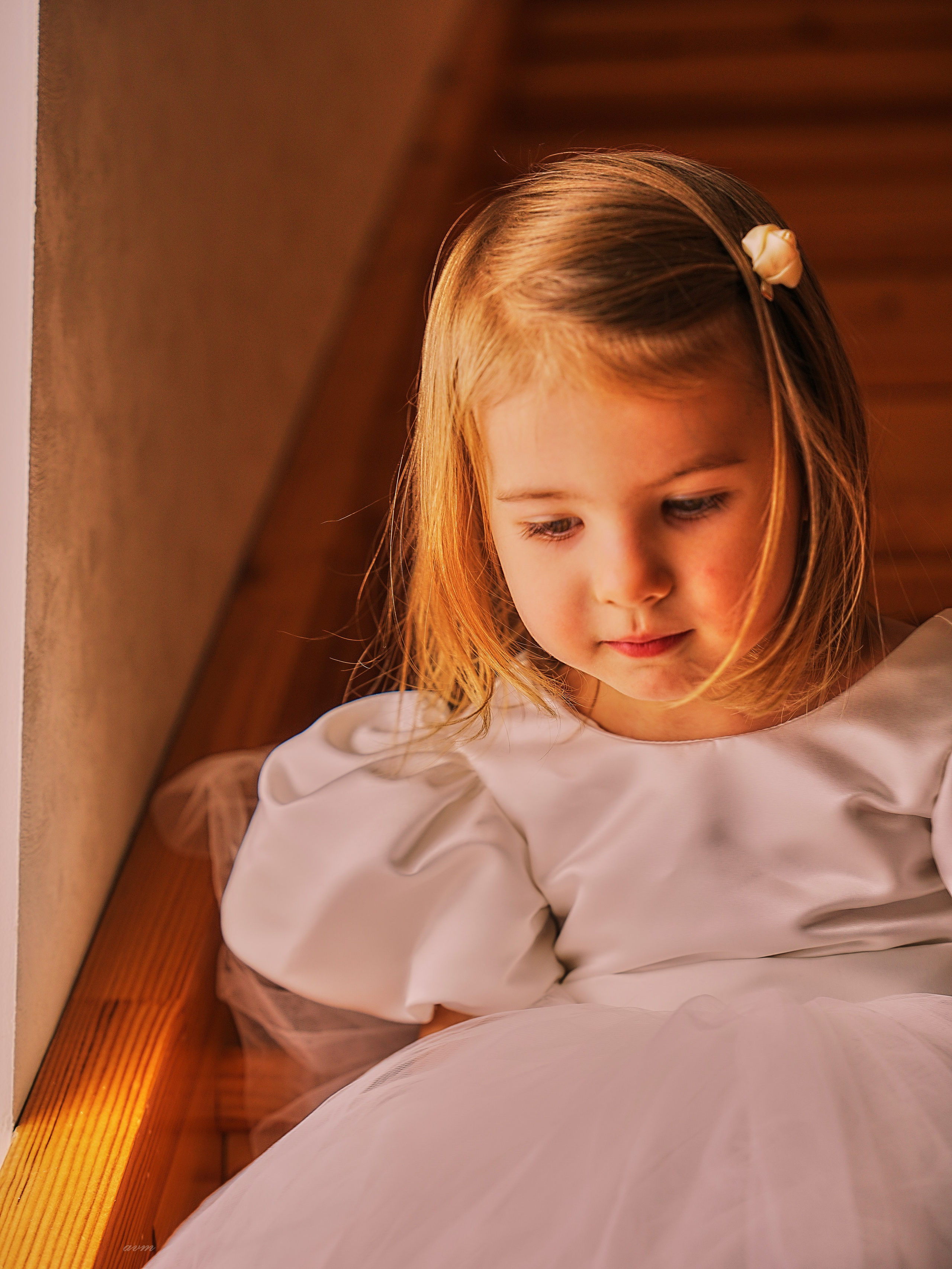 Новый год 2026. Фотограф Михеев Андрей