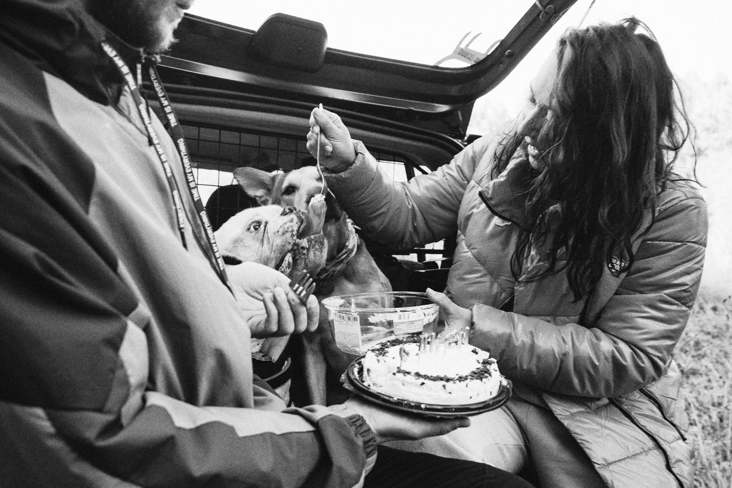 «Наша маленькая безумная семья». Фотограф Казань