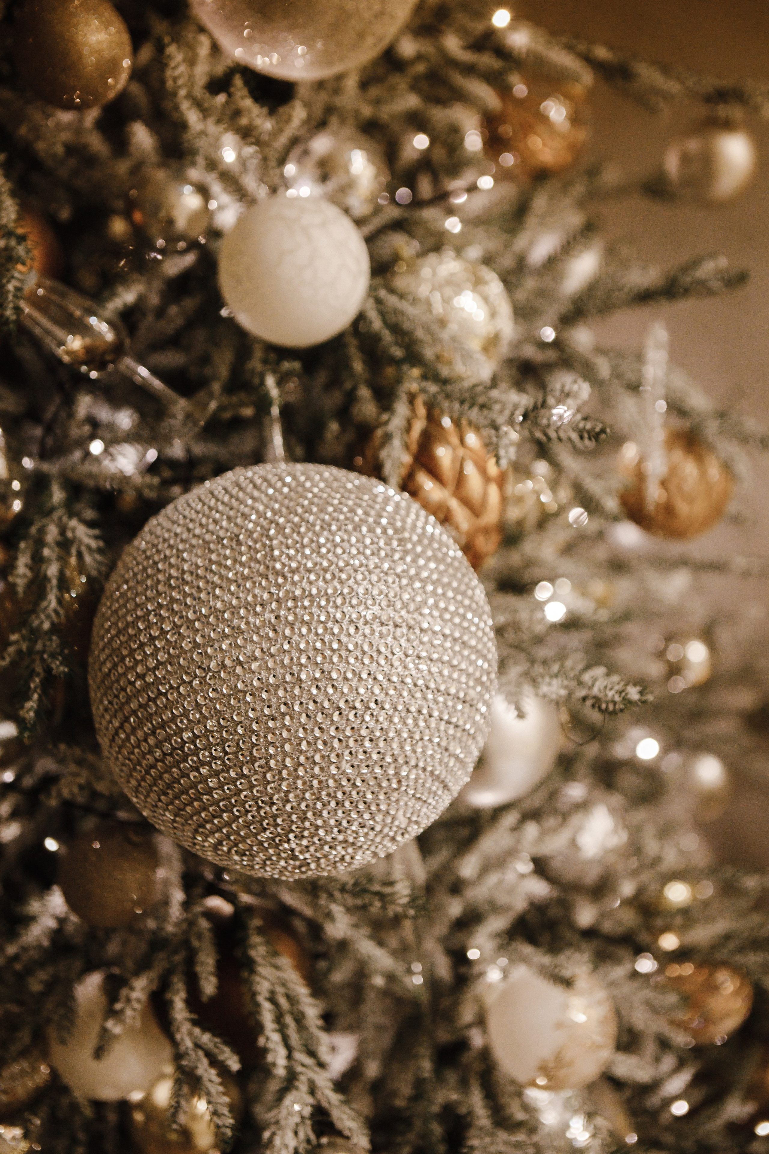 Новогодняя. Свадебный и семейный фотограф Чижова Алина