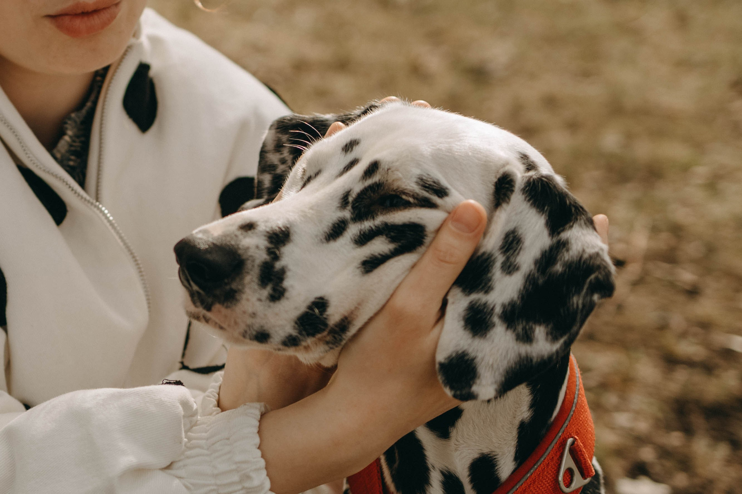 Диана и Лекса. Фотограф-анималист в Екатеринбурге | Кристина
