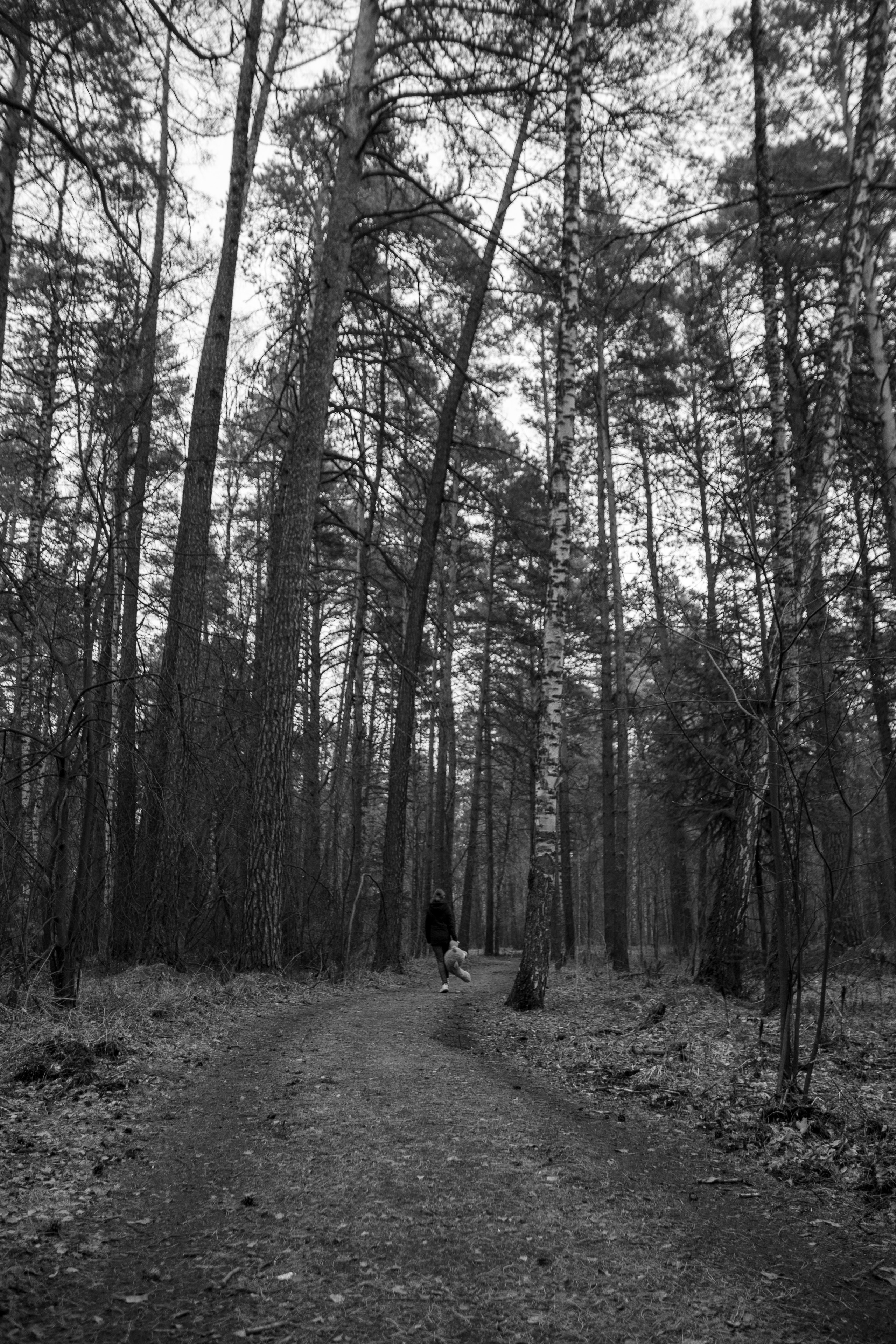 Прогулка. Ваш фотограф Северск | Томск