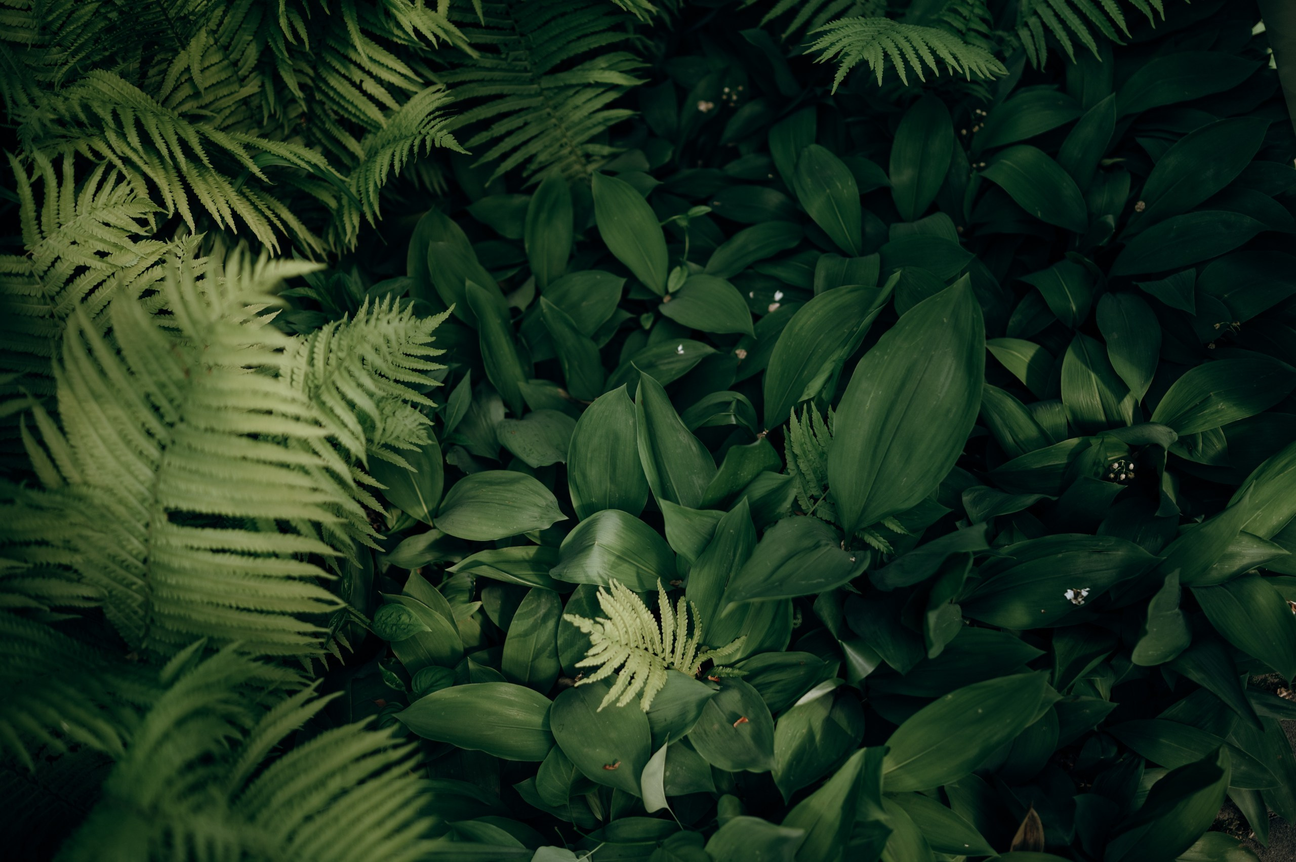 Фотопрогулка с «Иллюминатором». Фотограф Елена Афанасьева