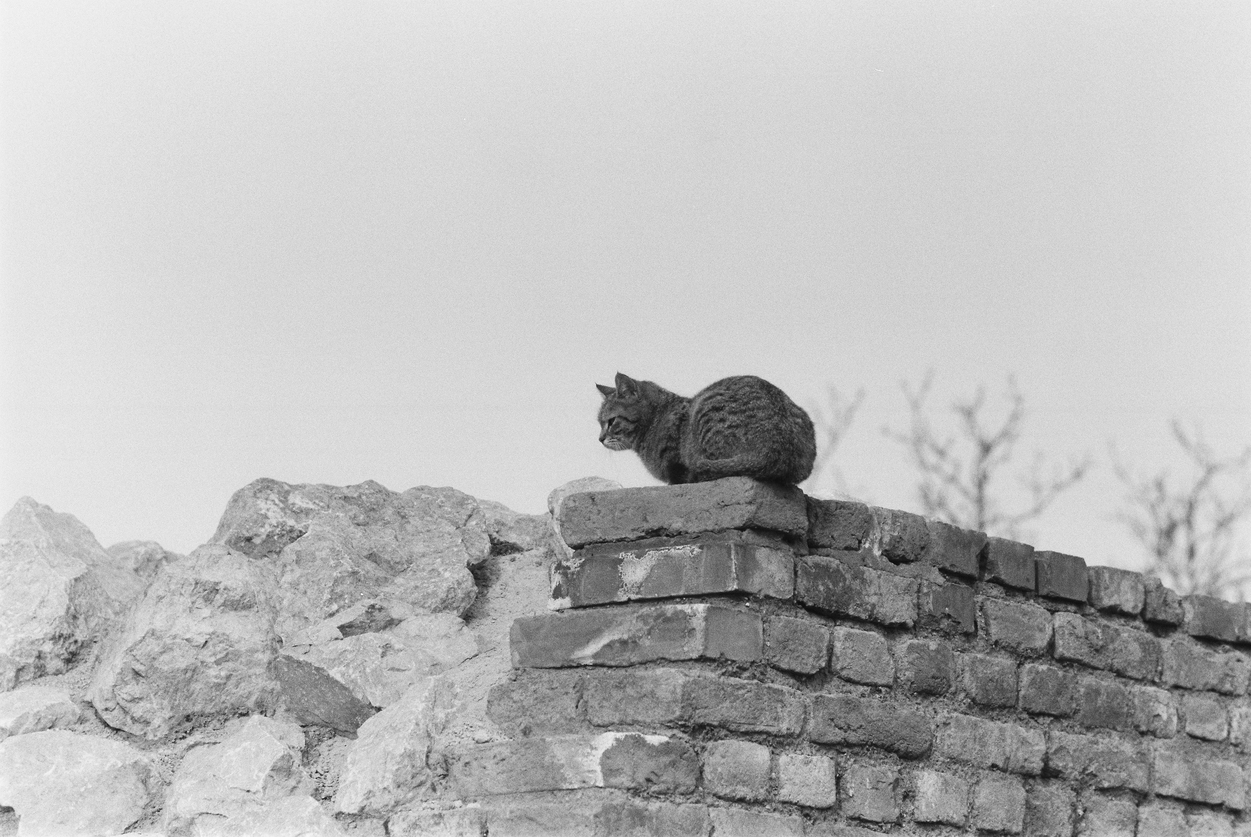 Плёнки. Кира Кечекьян — фотограф в Москве