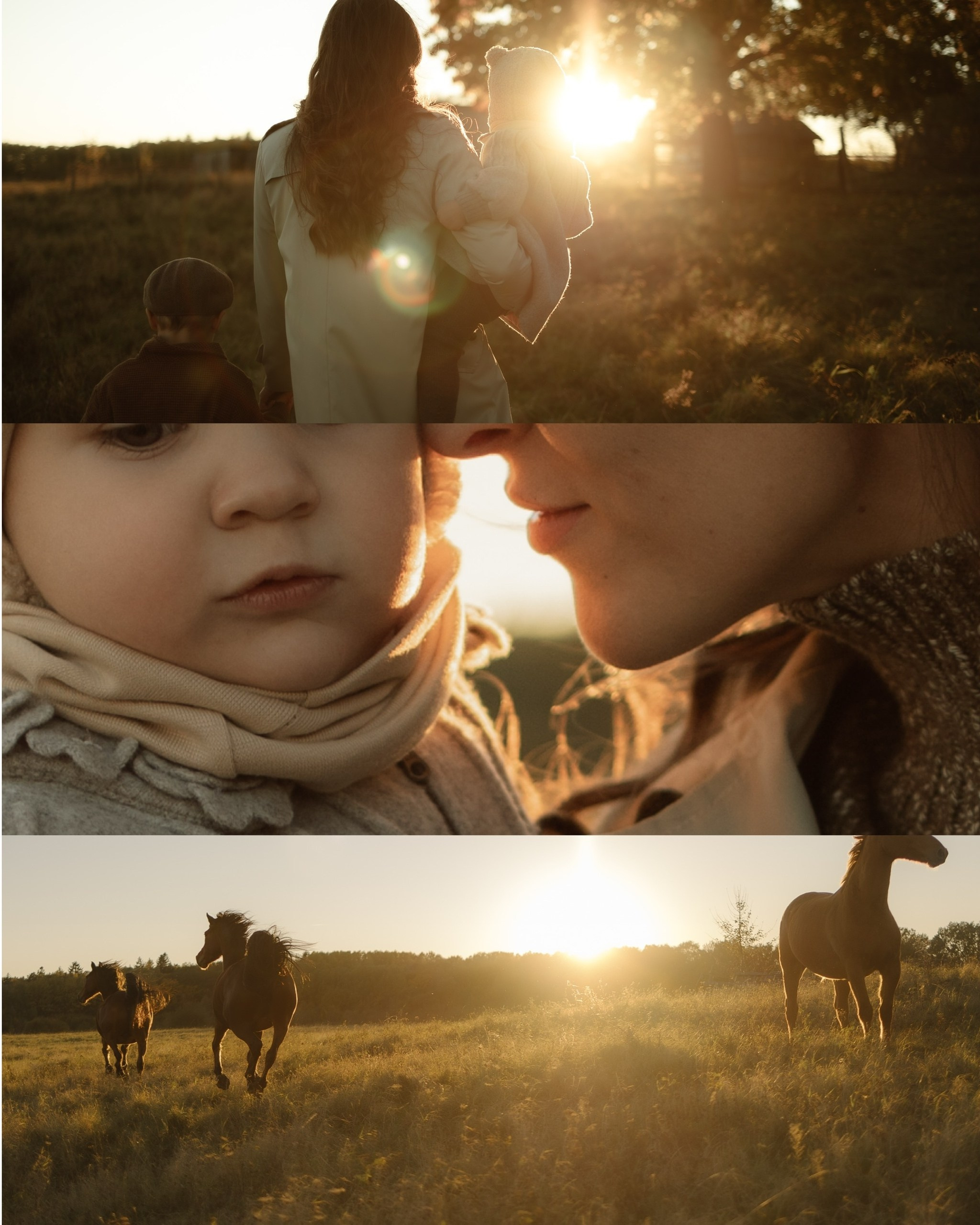 Семейные фотосесии 2025