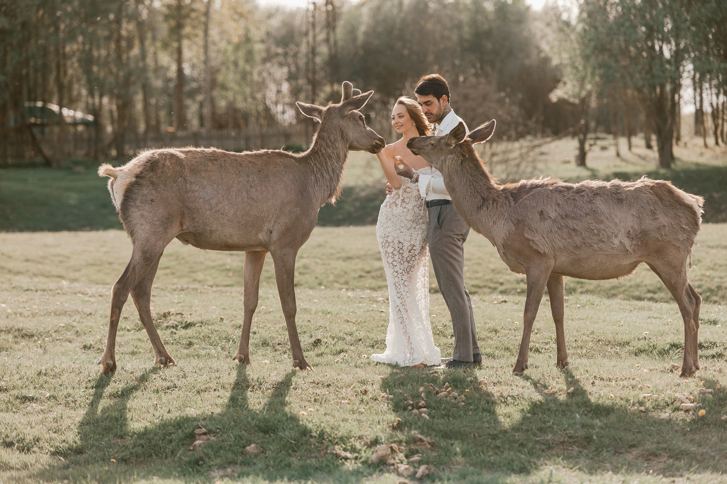 Ранчо. Свадебный фотограф в Москве
