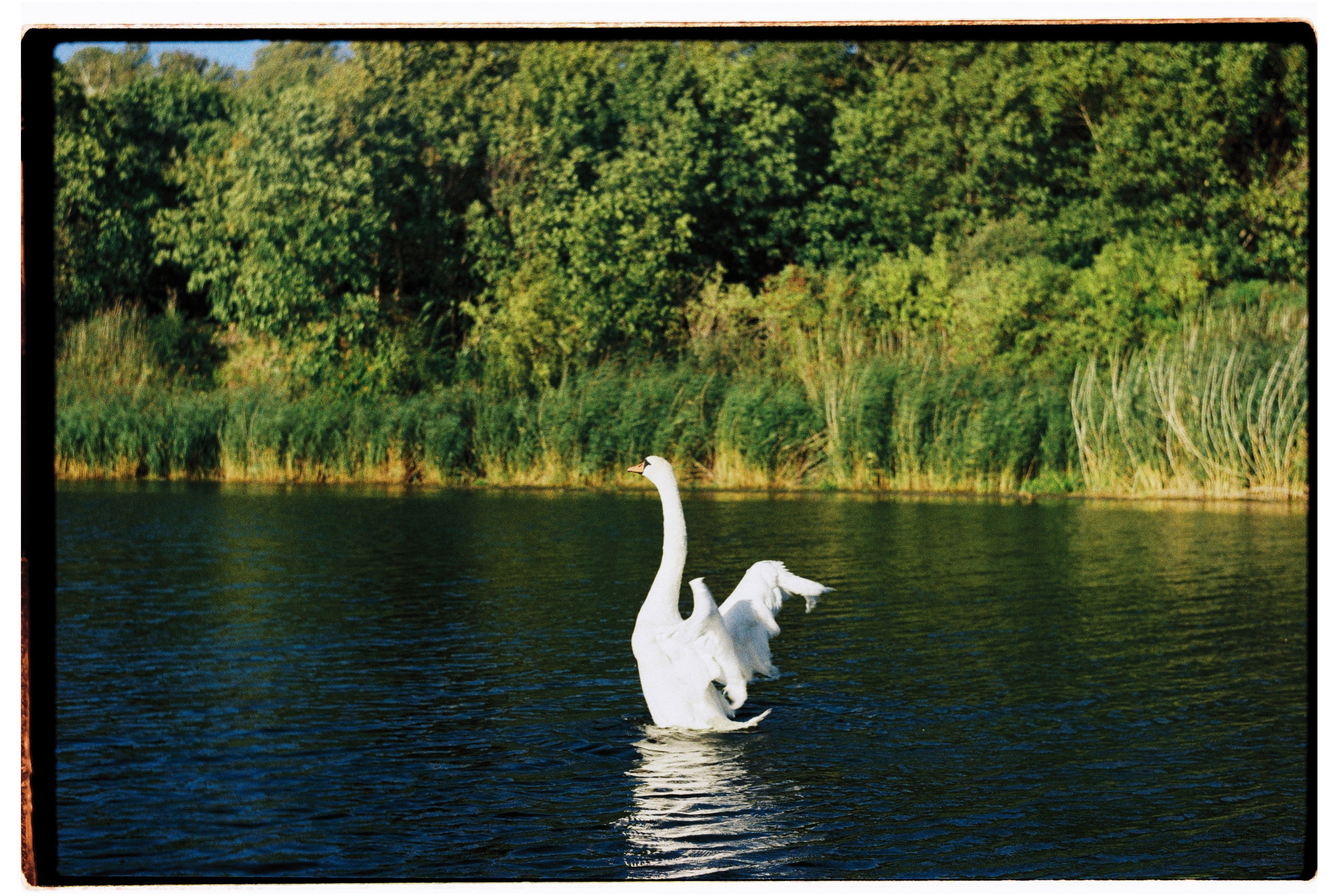 Калининградская область и Санкт-Петербруг | 2024. Портретный фотограф | Олеся Комарова | Екатеринбург