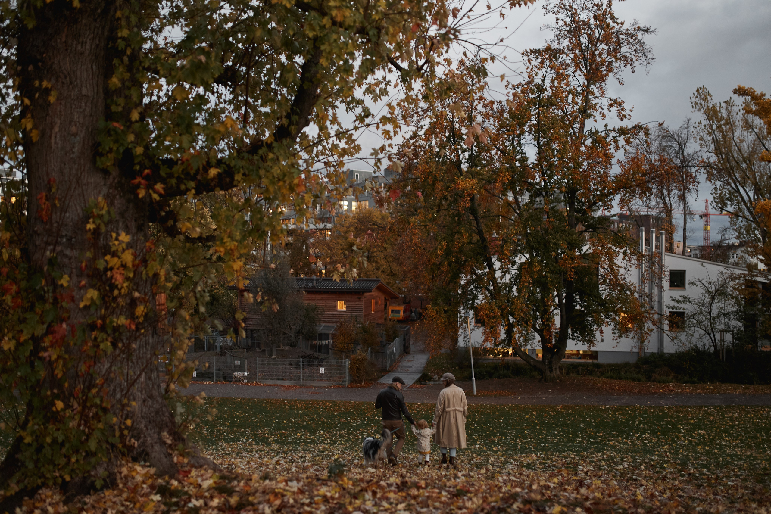 Осень в Цюрихе. Ваш душевный фотограф