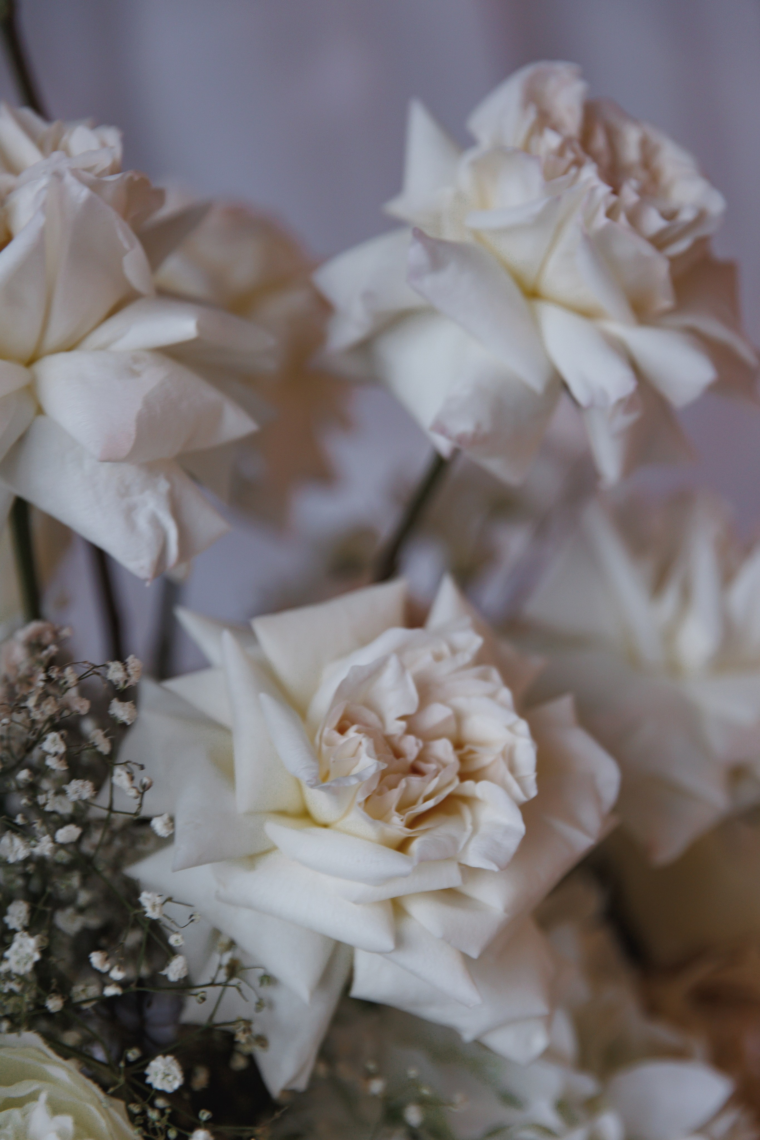 Дмитрий и Татьяна. Wedding photographer in St. Petersburg, Europe and Israel Anna Agafon