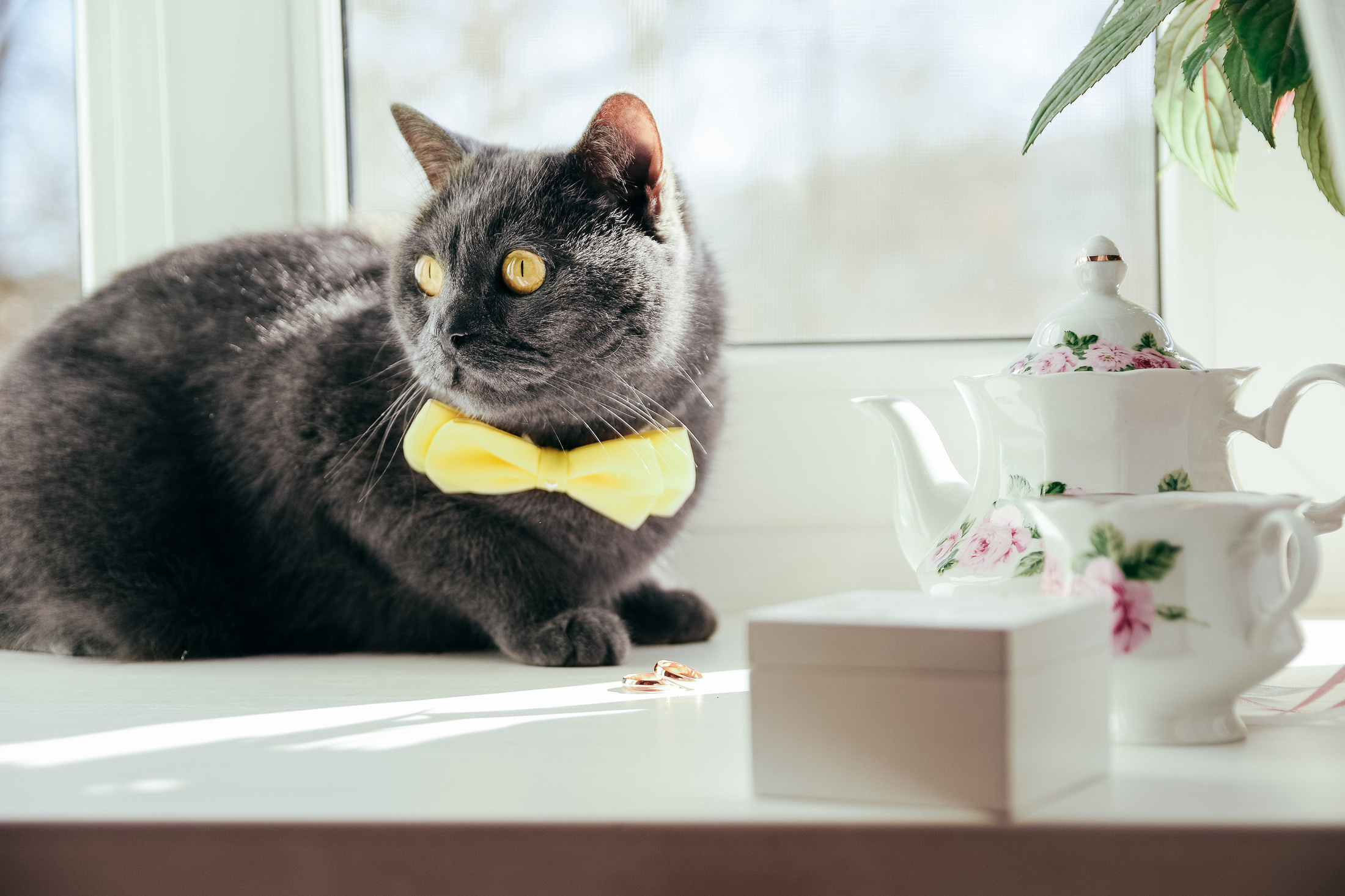 Фотограф Павел Шубин, Сергиев Посад