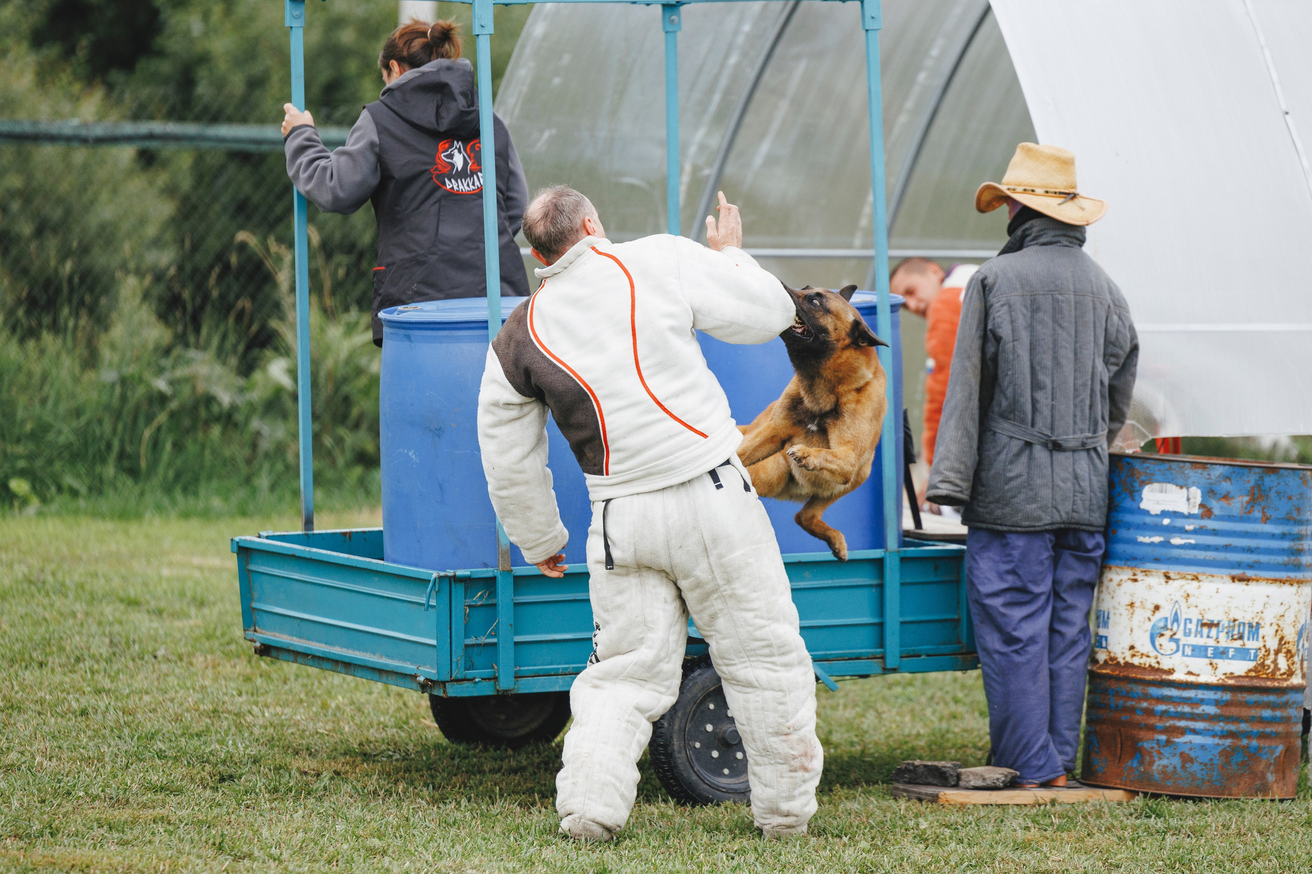 08.08.25-10.08.25 ЧР по мондьорингу г. Вологда. Фотограф-анималист Анна Маринич