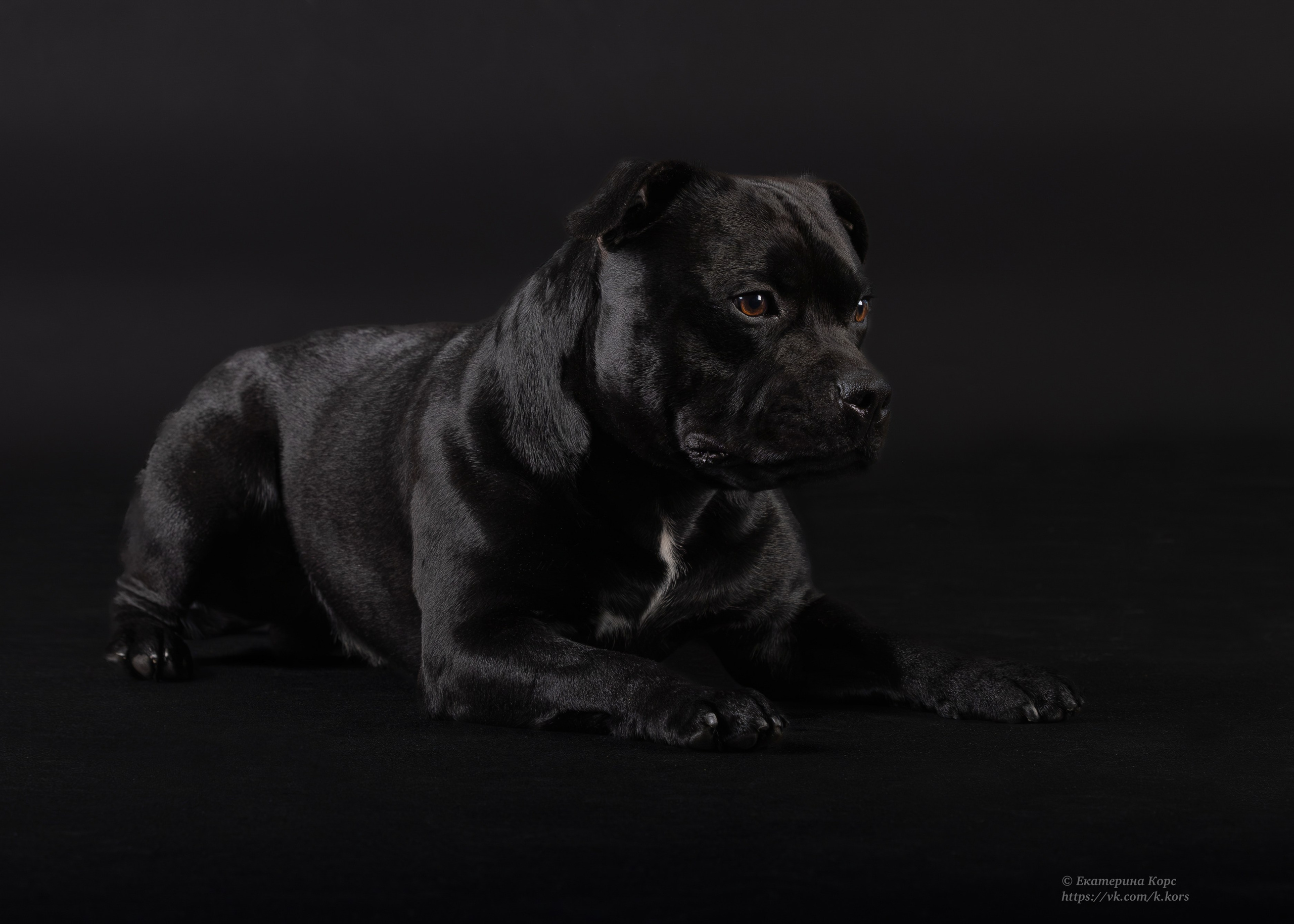 Студия. Главная