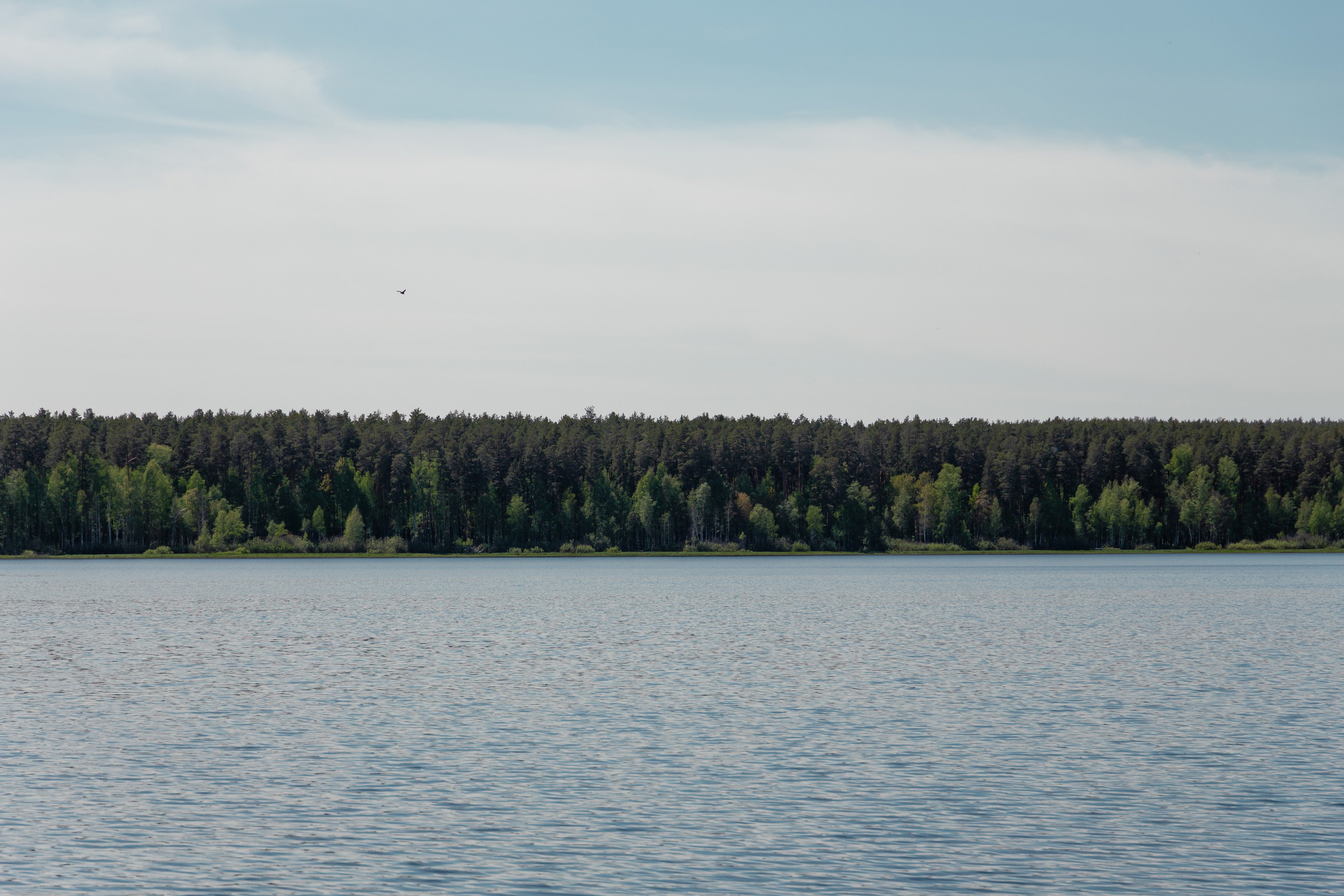 МТ Электро 28 лет