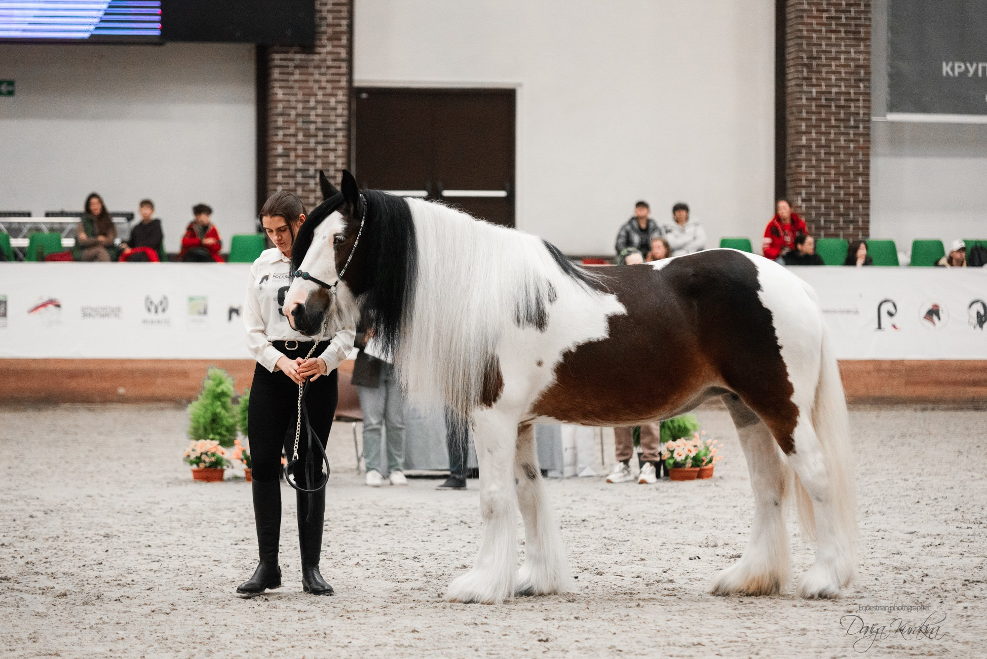 8-я международная выставка Конная Россия. Конный фотограф Куракина Дарья • Фотосессии с лошадьми