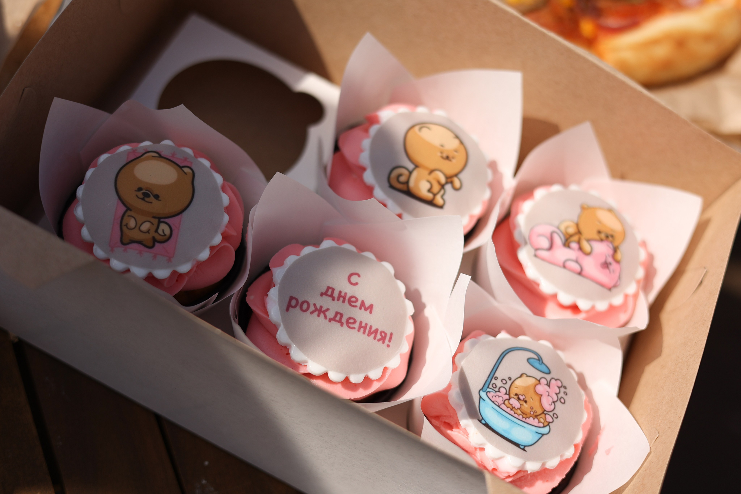 Апероль 1 годик. Фотограф Санкт-Петербург