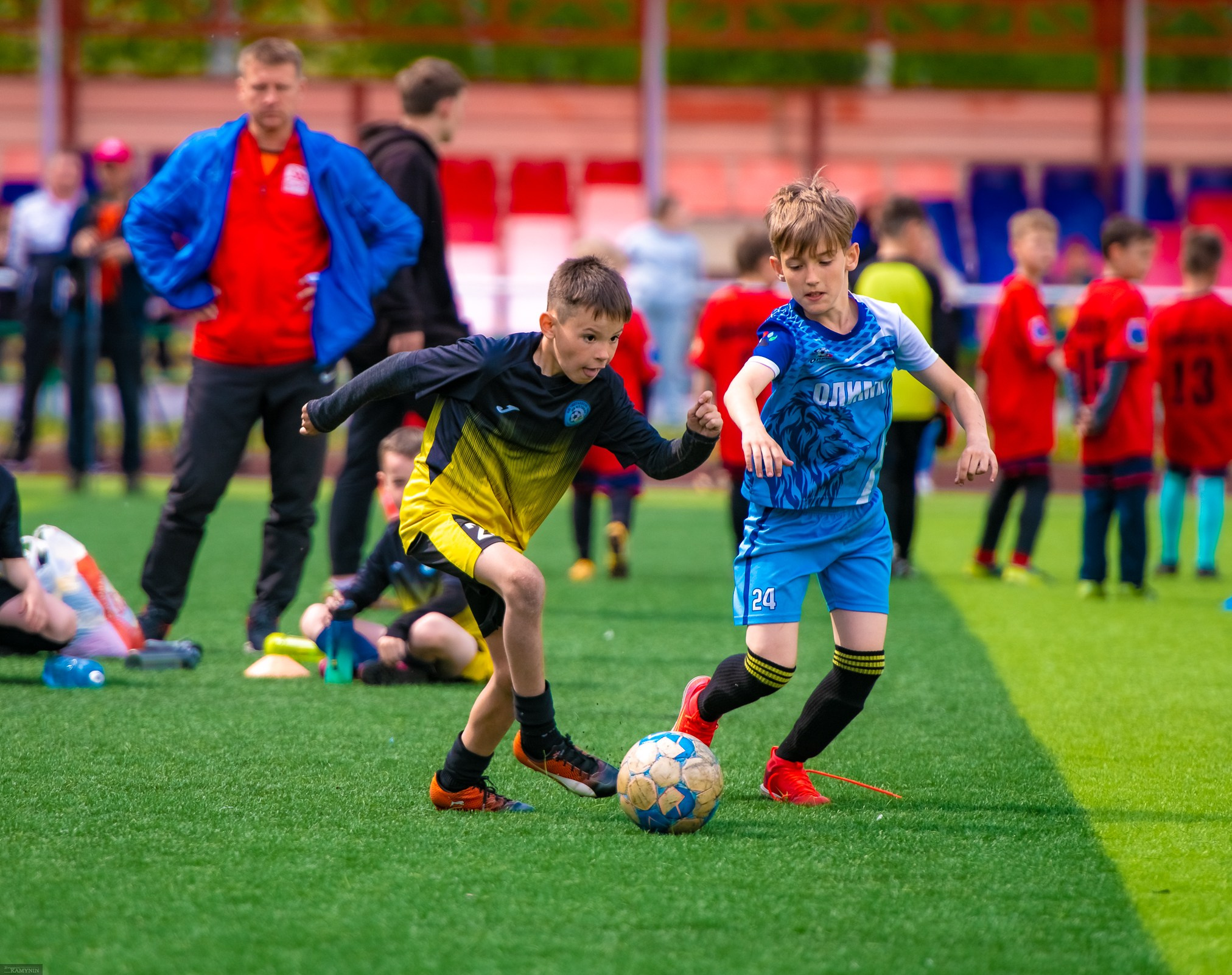 Спортивная съемка. ProfotoNK