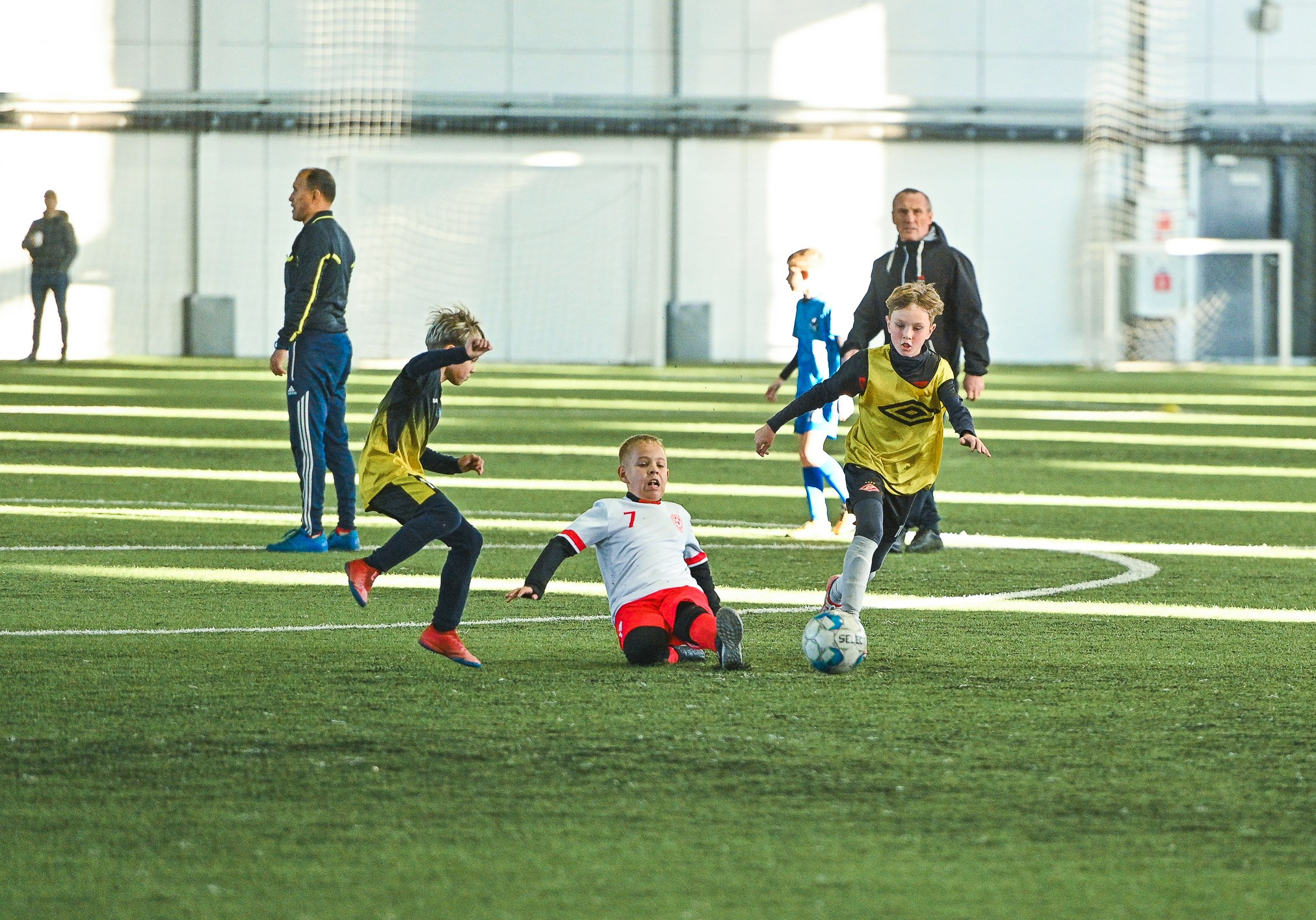 Металлург-Бердск. ProfotoNK