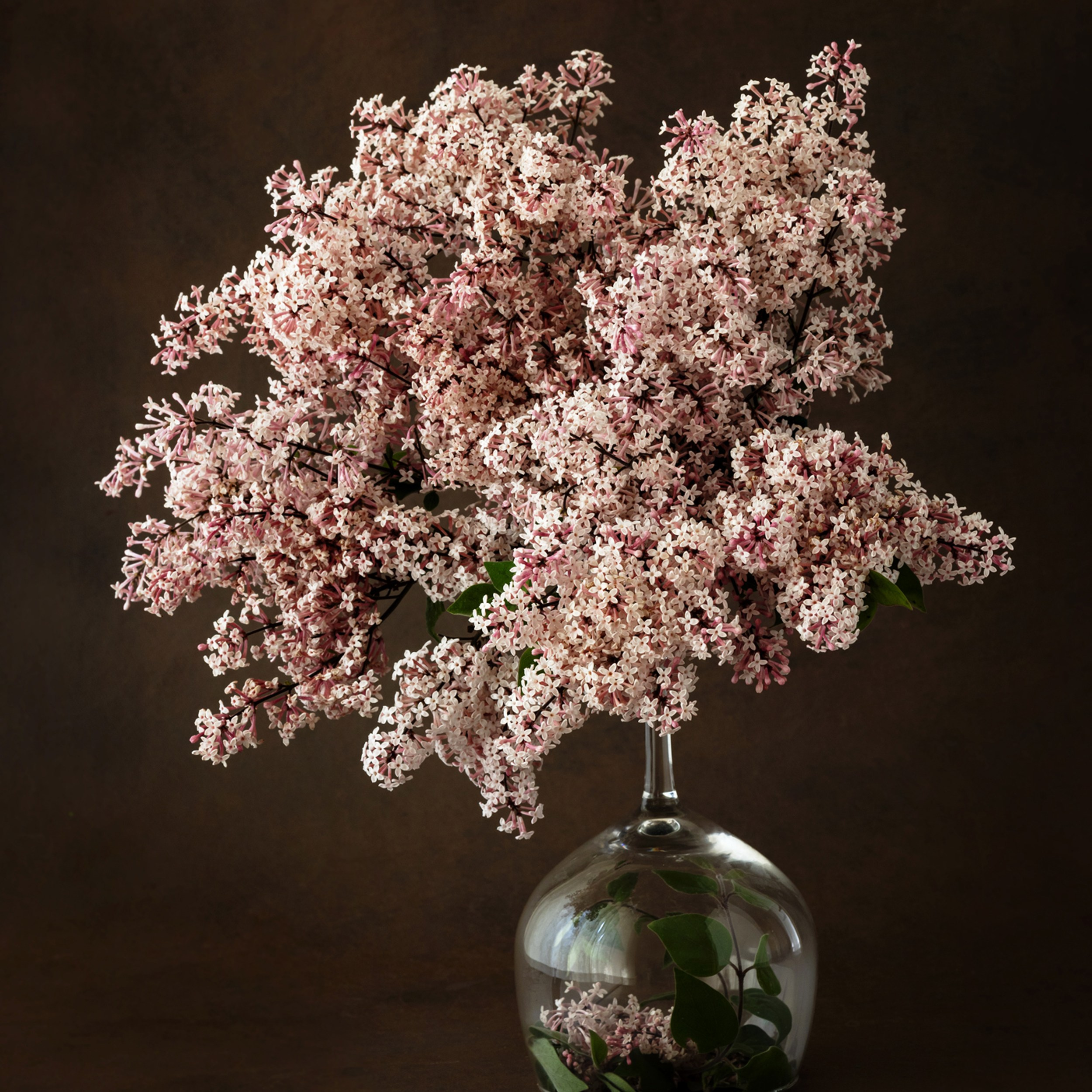 Aroma of Spring. Author’s fine art prints with international delivery