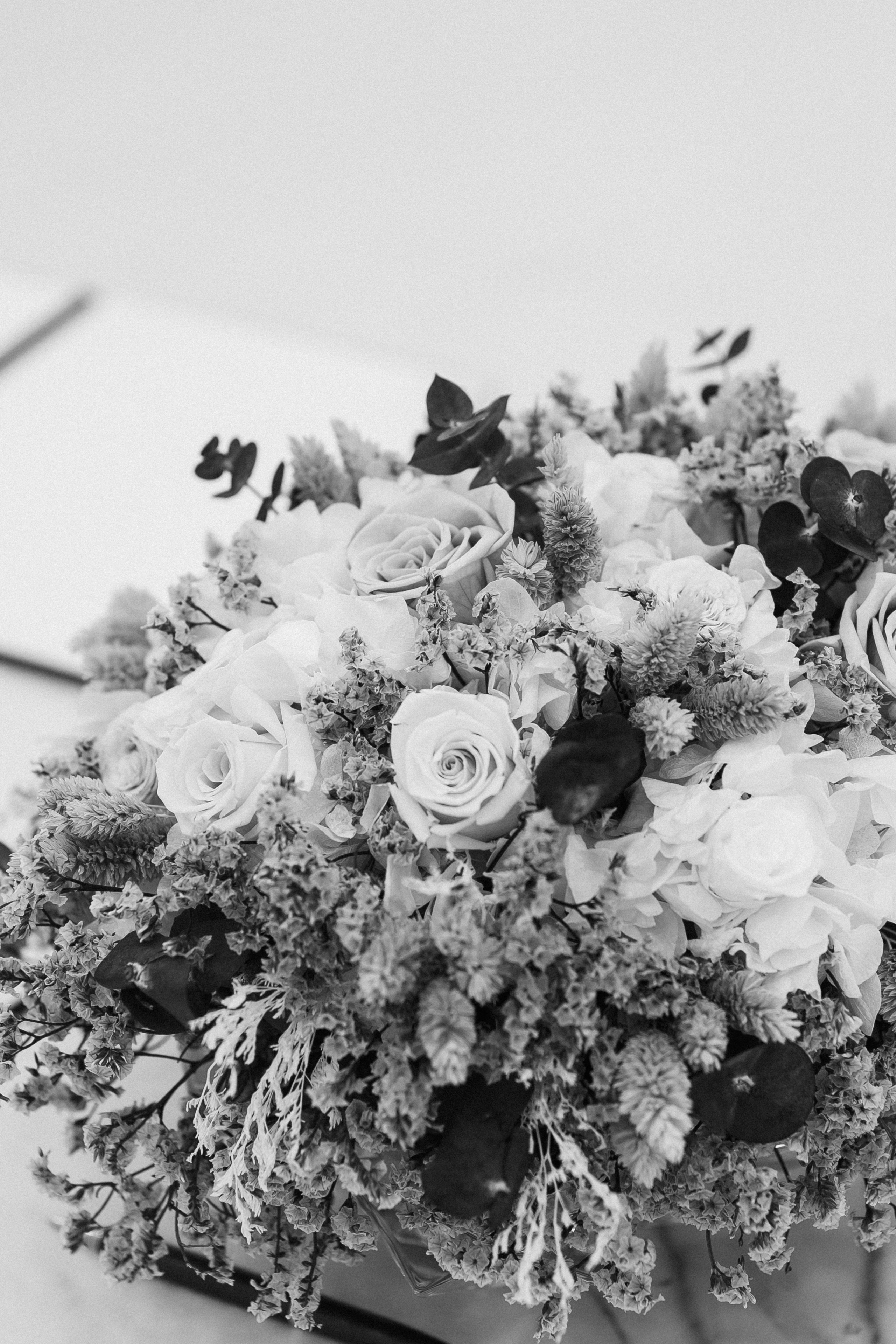 Оделис и Гриша