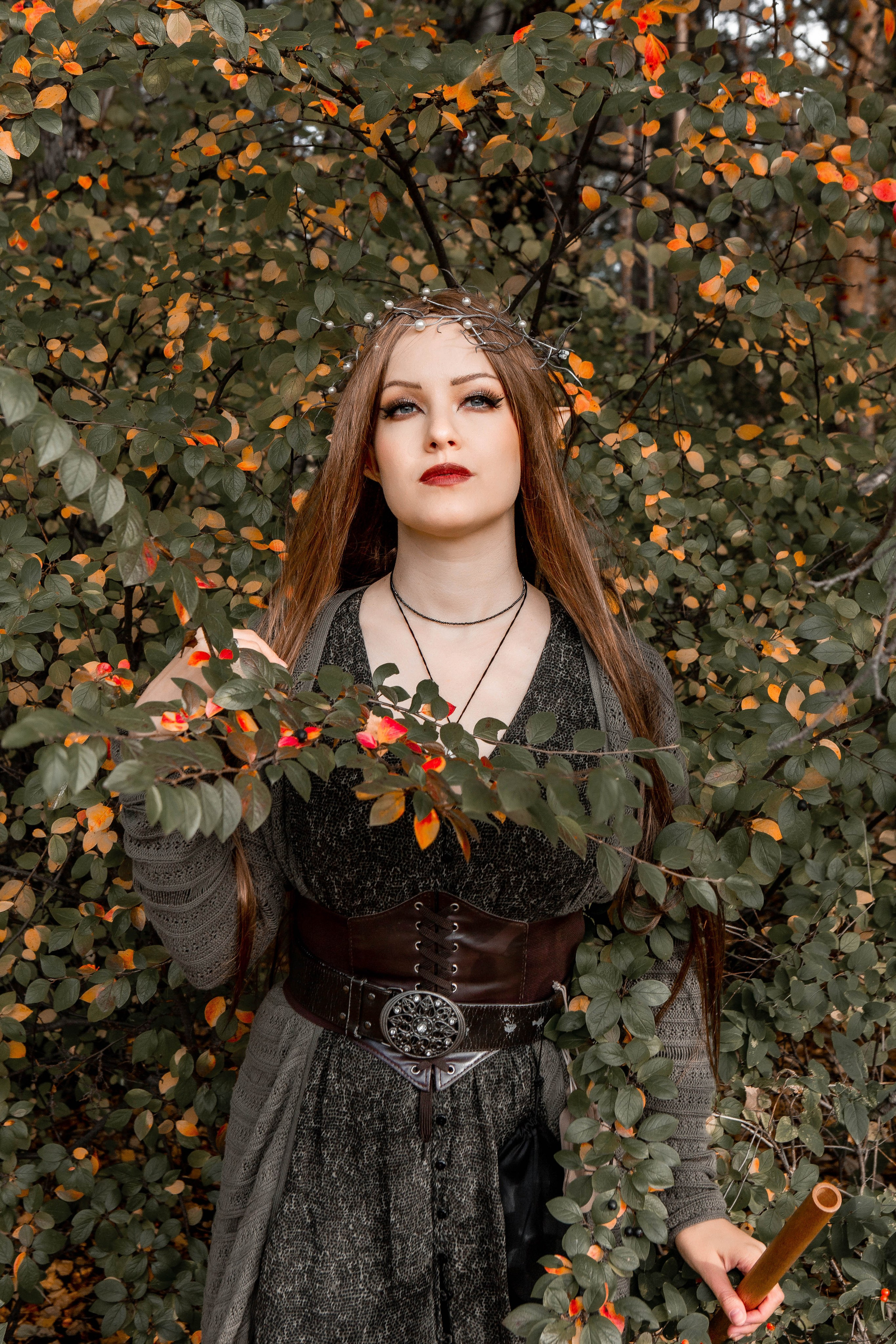 Волшебный лес. Фотограф Екатерина Голицына