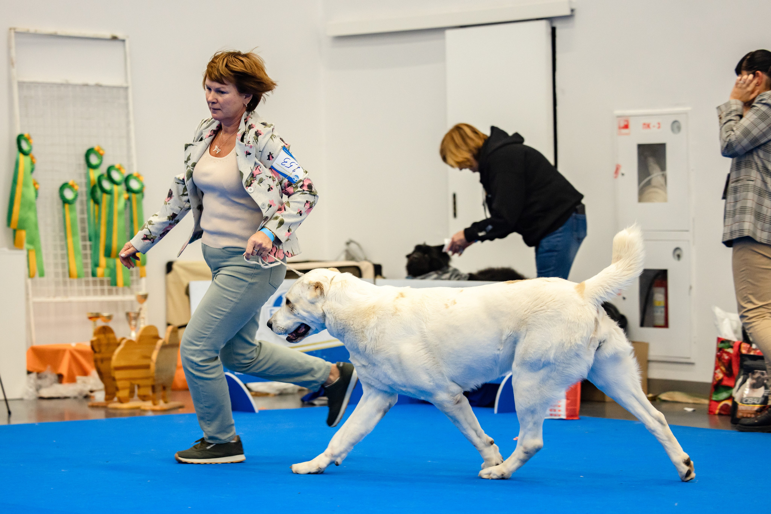 Нижний Новгород 21-22.10.2023. Фотограф-анималист Юлия Германика